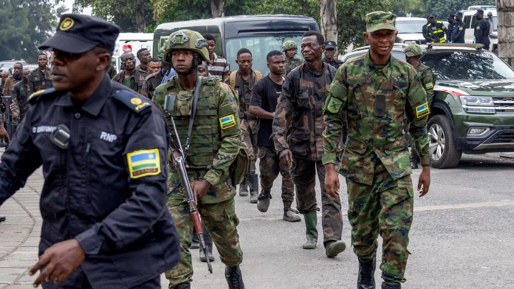M23-RDF : deux forces distinctes ou une même machine de guerre ?