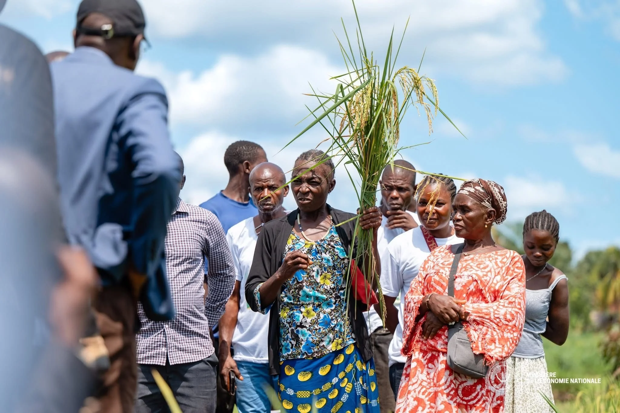 Congo : lancement du projet « Riz Bumba » pour relancer la filière rizicole dans la Mongala