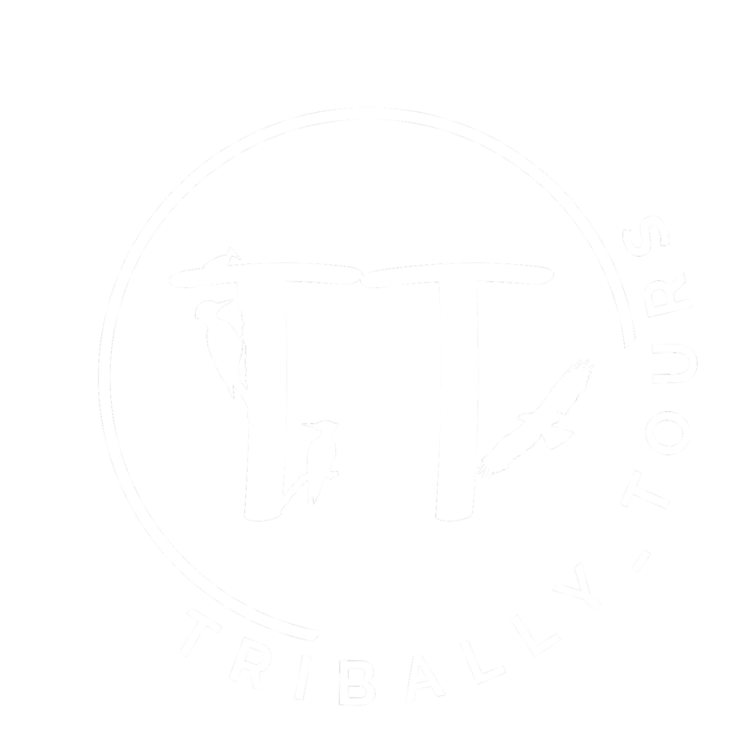 Tribally Tours 