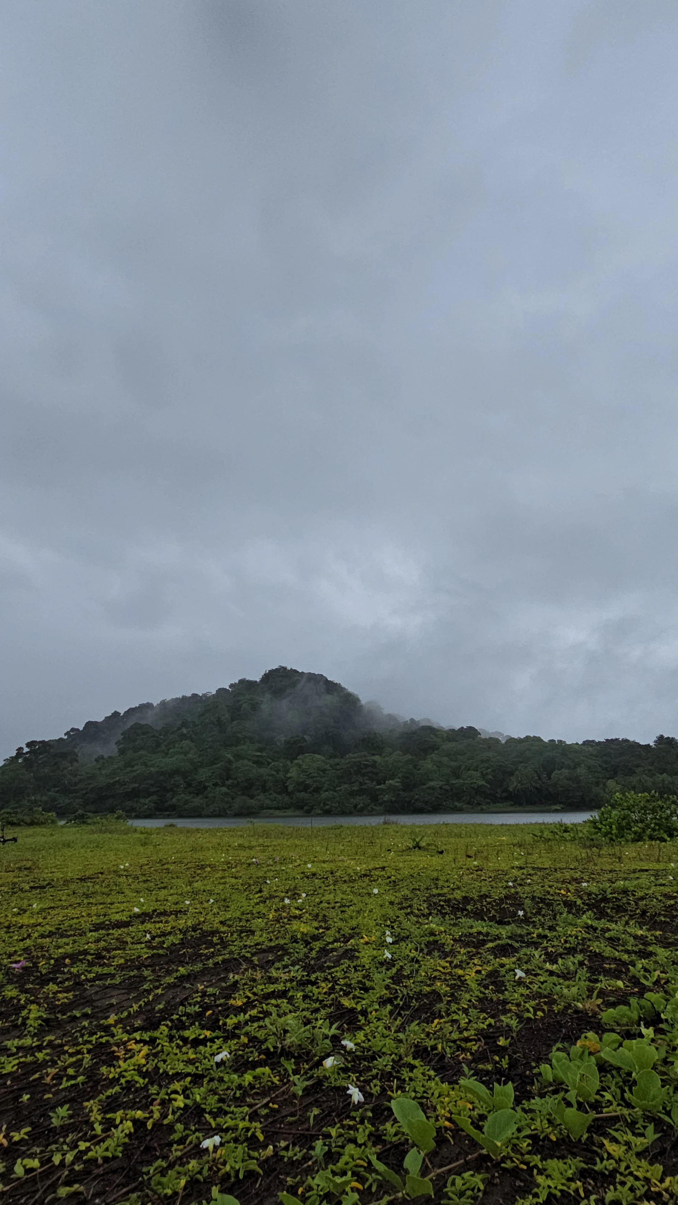 El Pico del Guardian: Historia Volcanica y Caminata Panoramica por el Bosque Lluvioso.