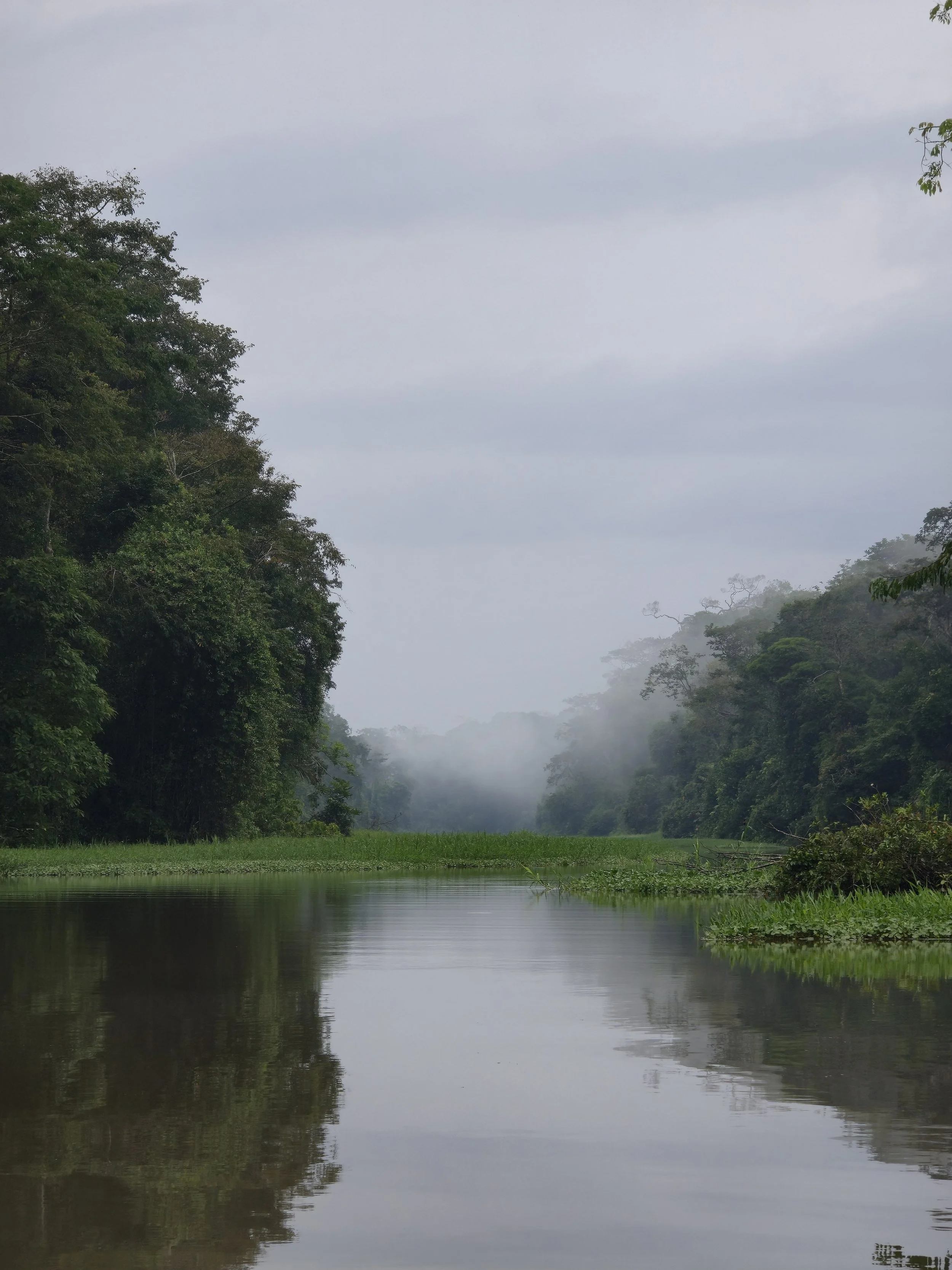 Las Aguas Susurrantes: Exploracion Silenciosa de lo mas profundo de los Canales de Tortuguero.