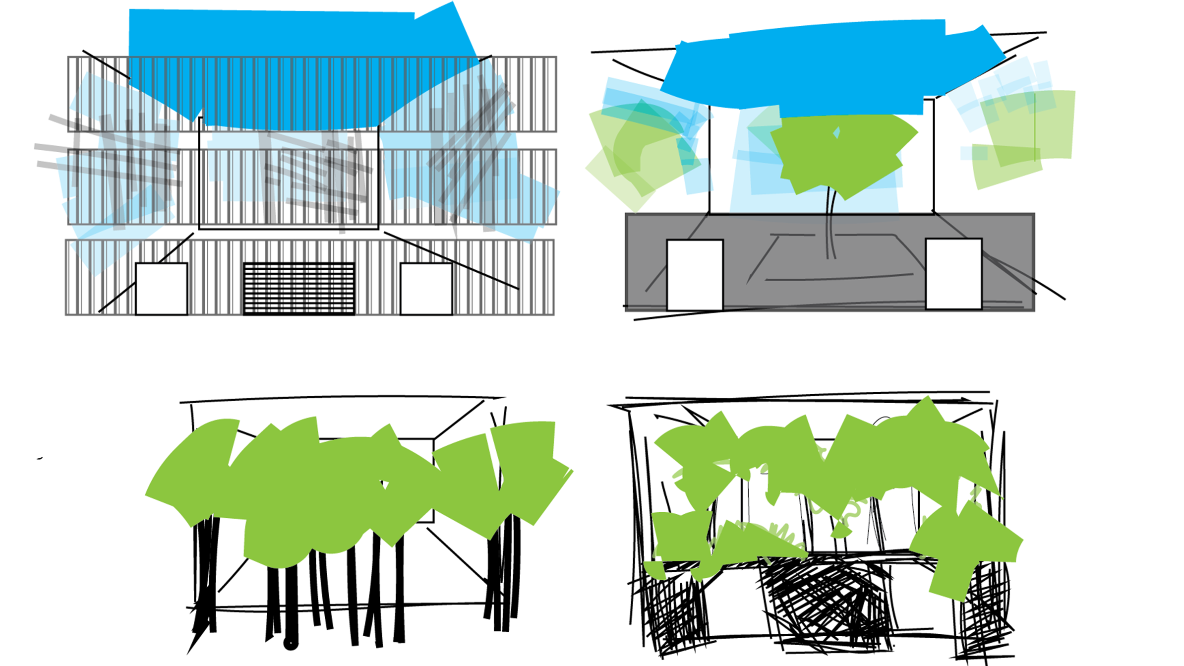 WebPics_30.png