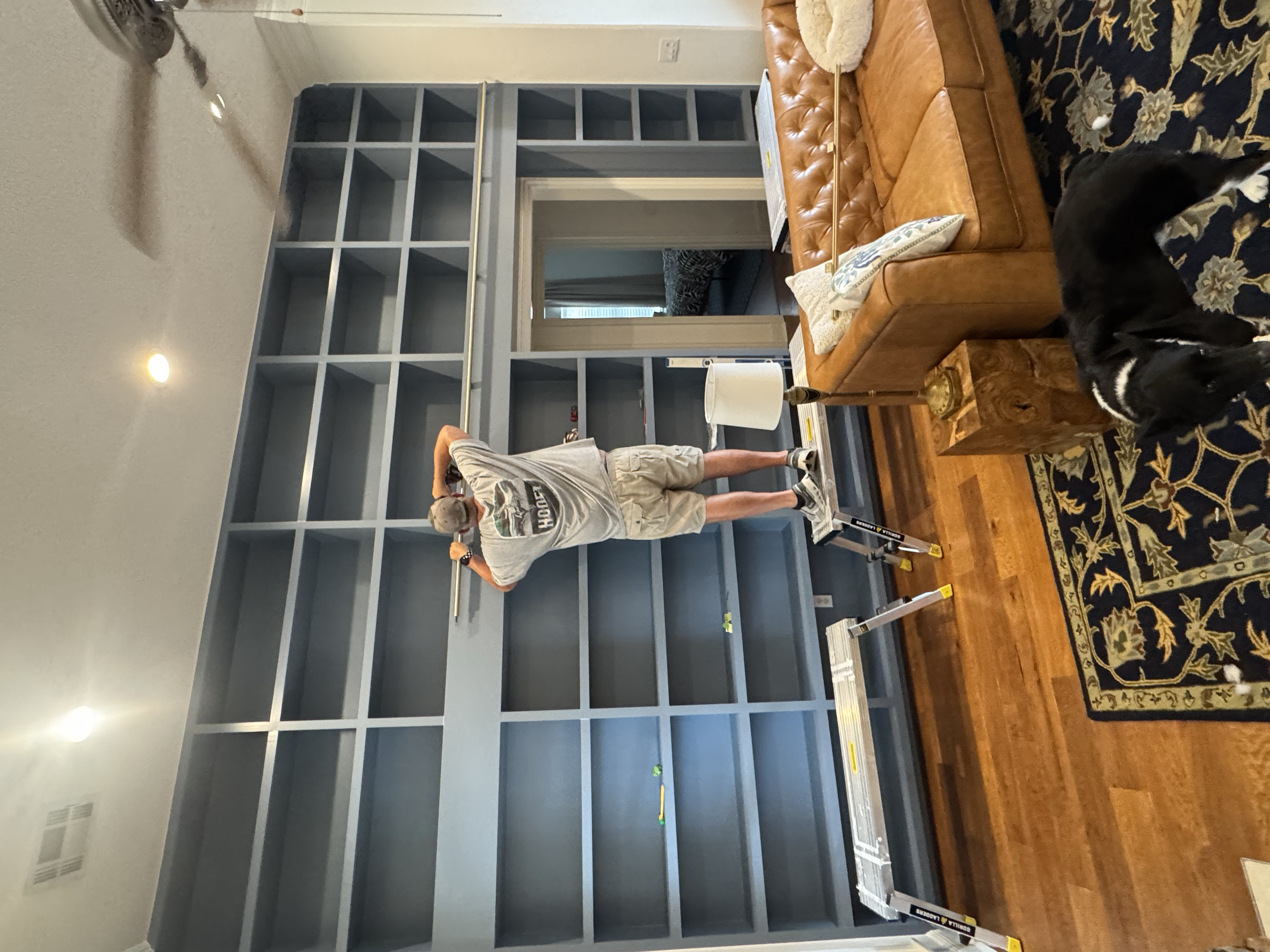 A person in shorts and a t-shirt standing in a room with a large empty blue built-in shelf, a leather sofa, a patterned area rug, a small table, and two black and white dogs. The room has hardwood flooring and frame window in background.