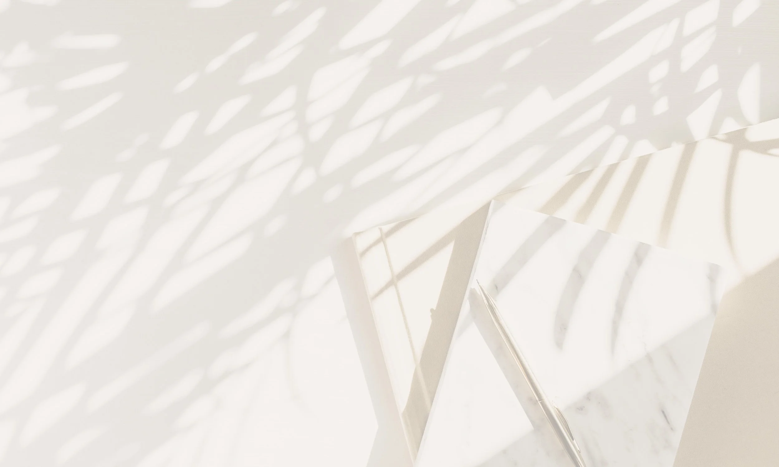 Shadows of a palm tree cast on a white wall, creating a pattern of leaves.