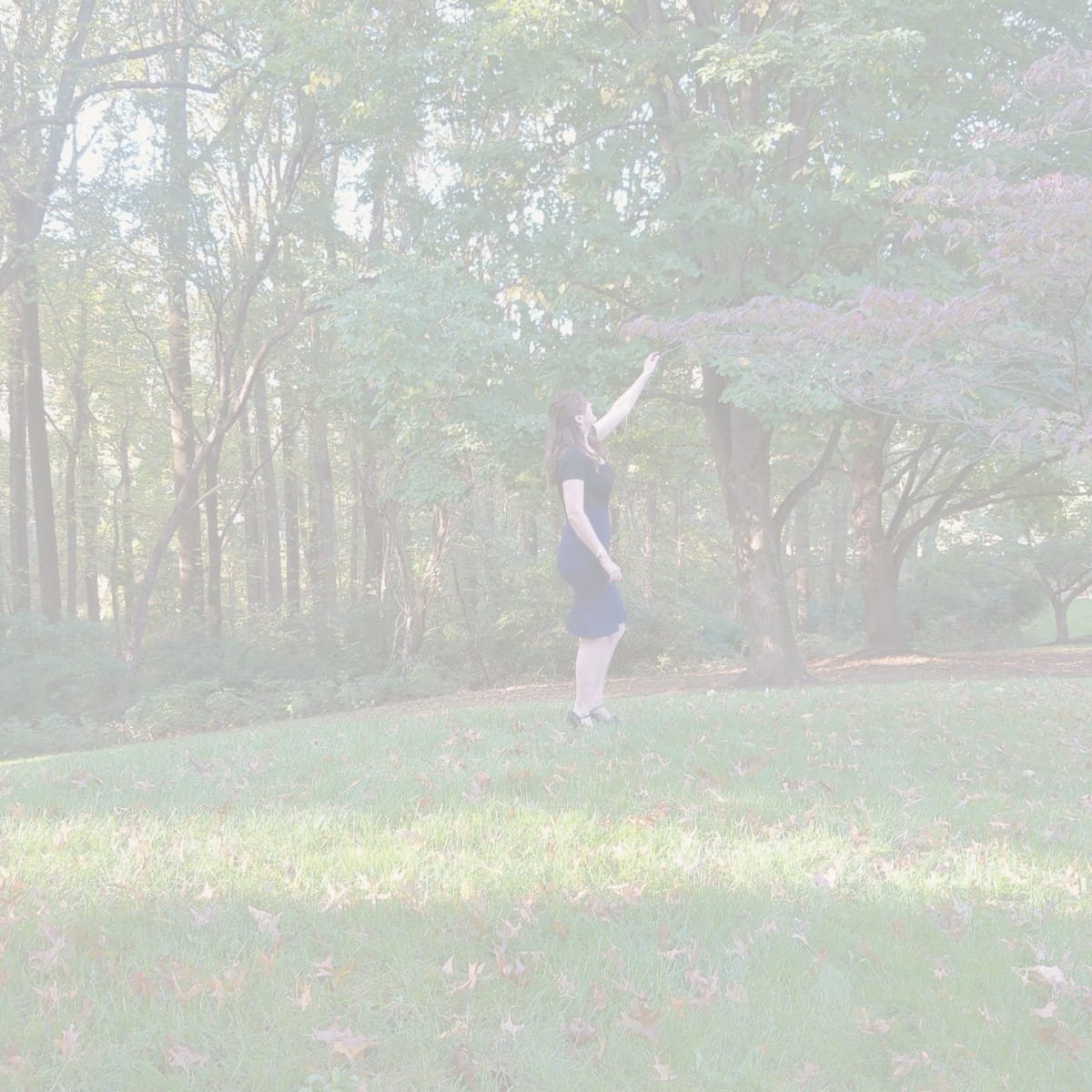 A woman in a black dress standing on grass in a park, reaching up towards a tree with her right hand, surrounded by trees and foliage.
