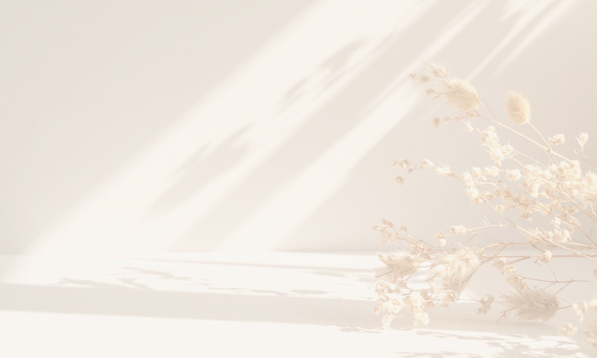 Soft, diffused sunlight casts shadows on a light-colored wall behind dried flowers arranged in a bunch.