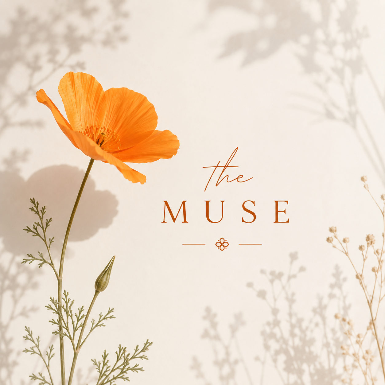 muse.png