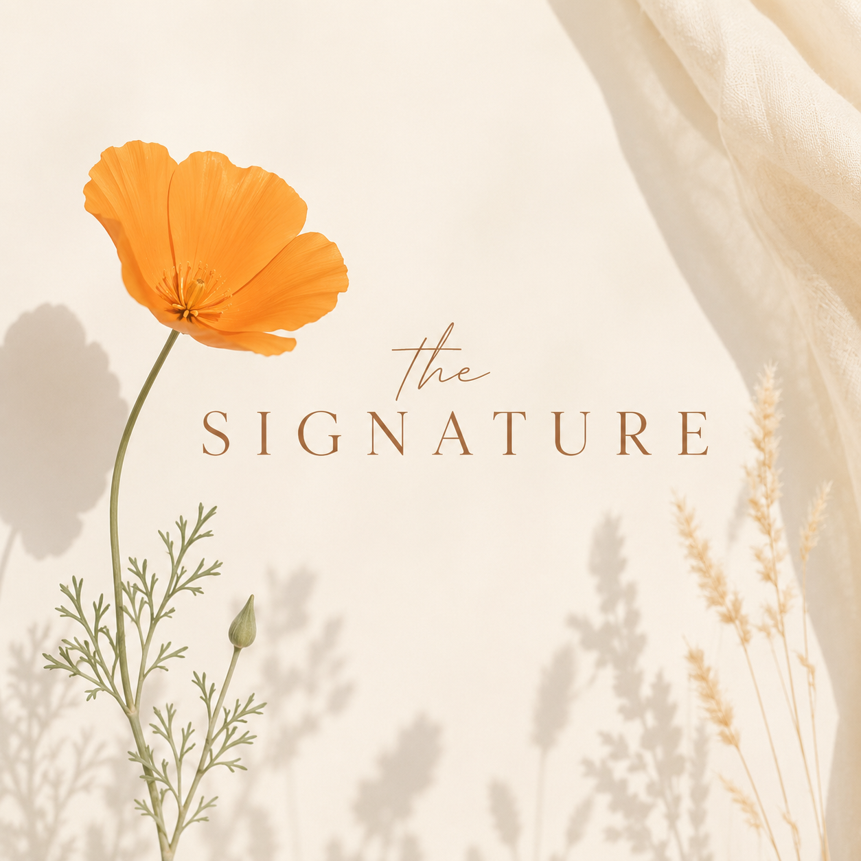signature.png