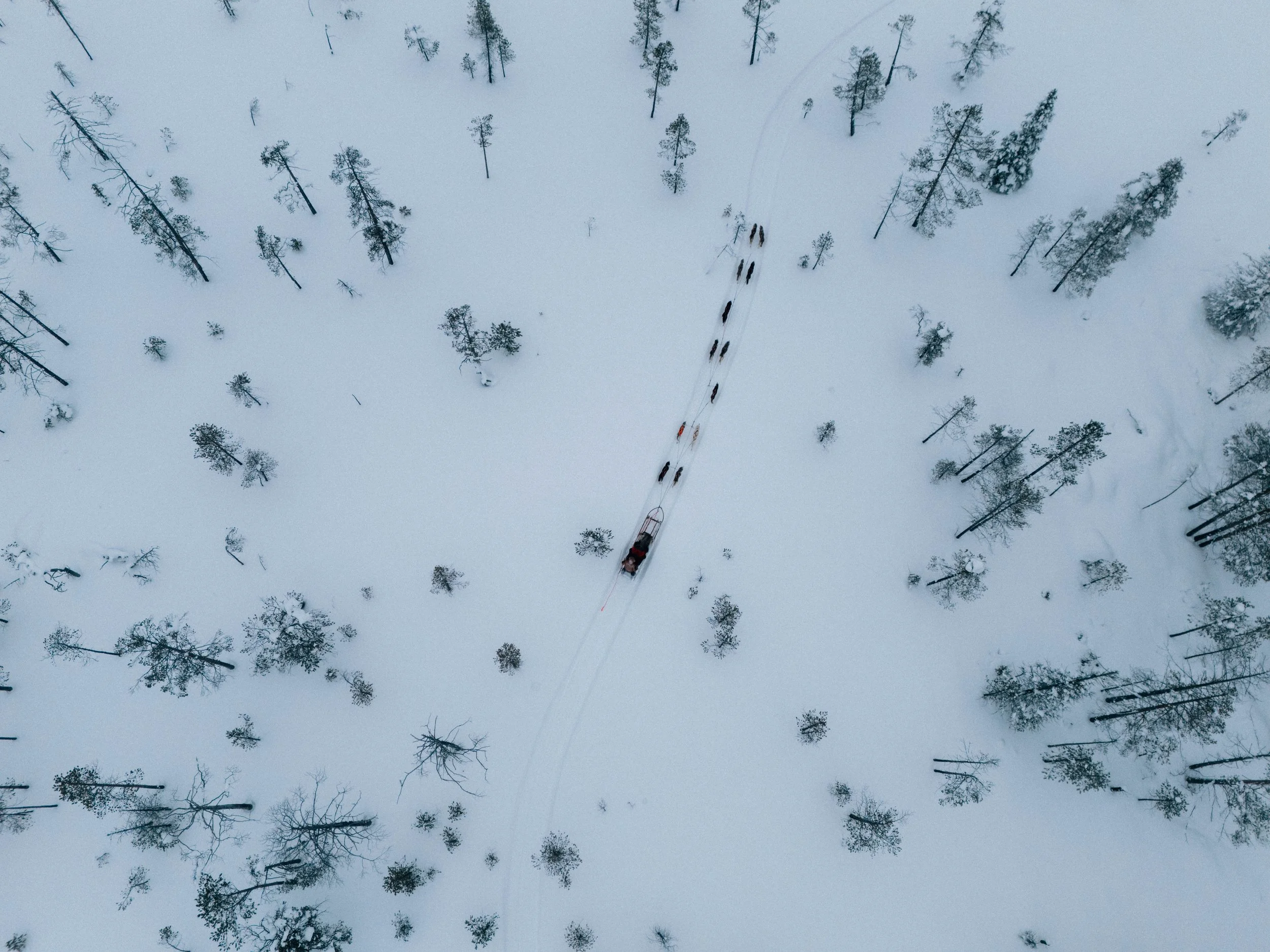DJI_20240227110627_0768_D.jpg