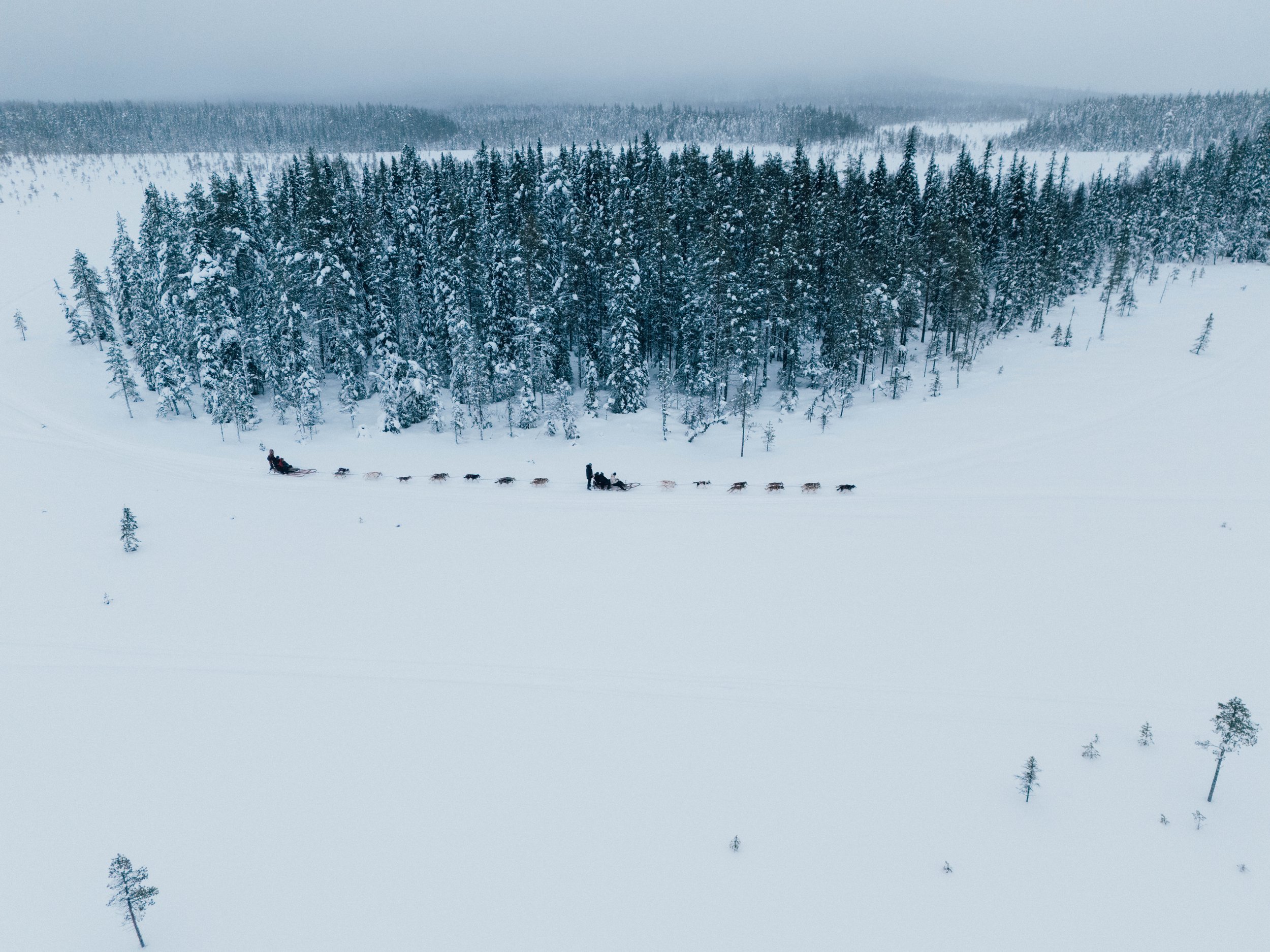 DJI_20240227111151_0783_D.jpg