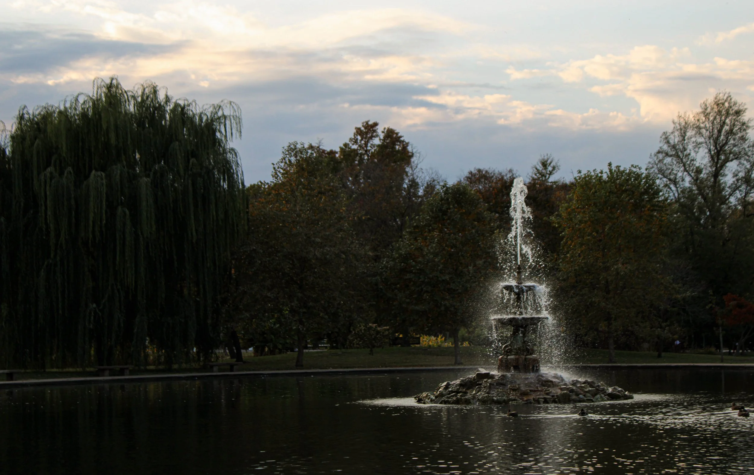 evans zoo image-9.jpg