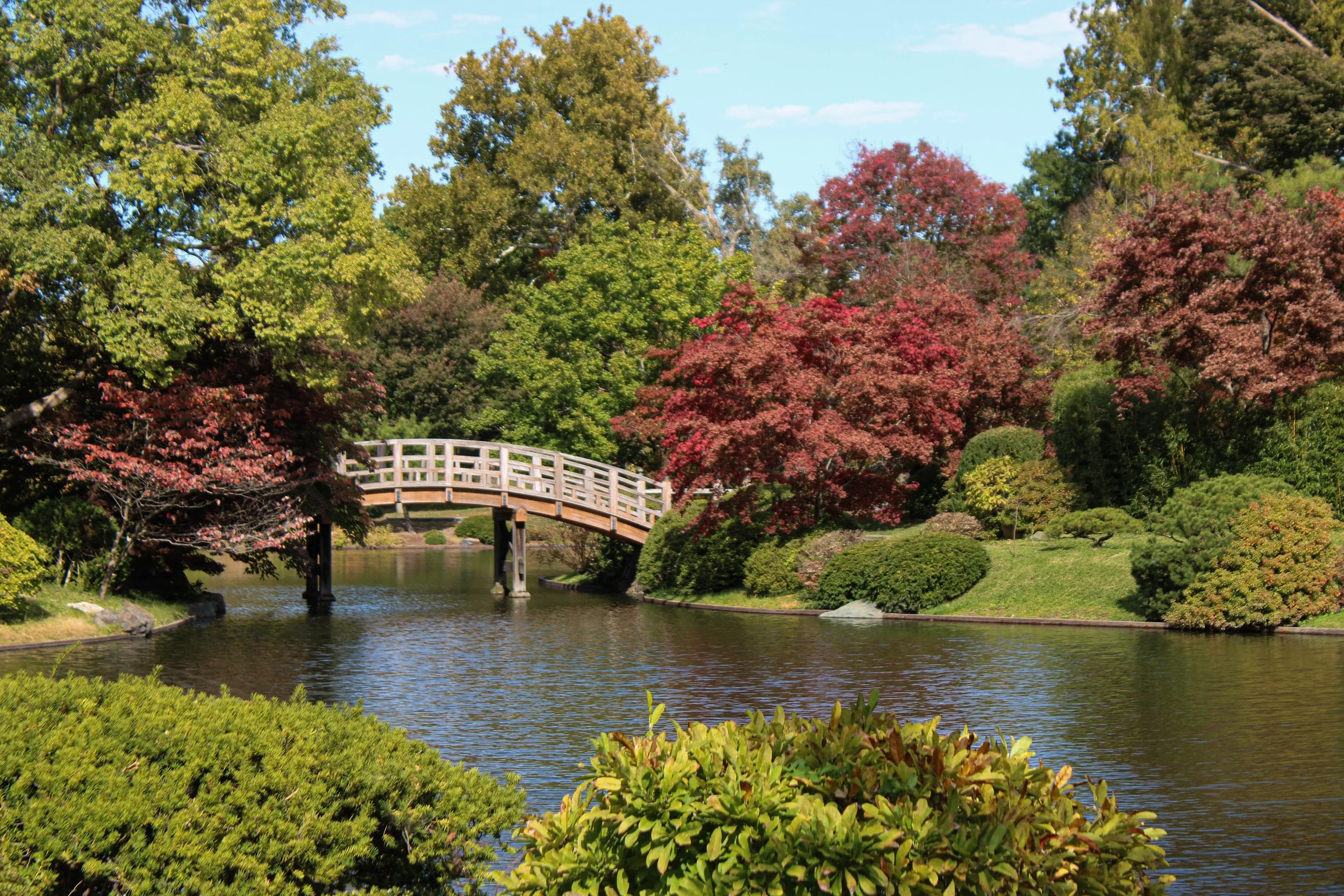 evans zoo image-8.jpg