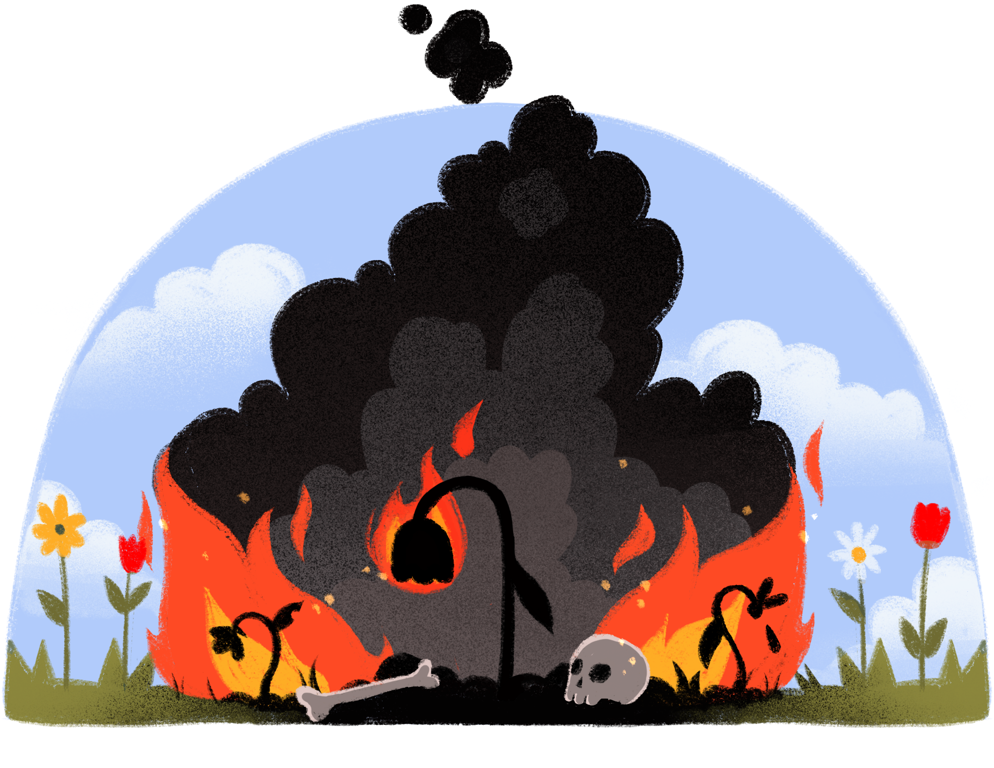 IMG_0751.PNG