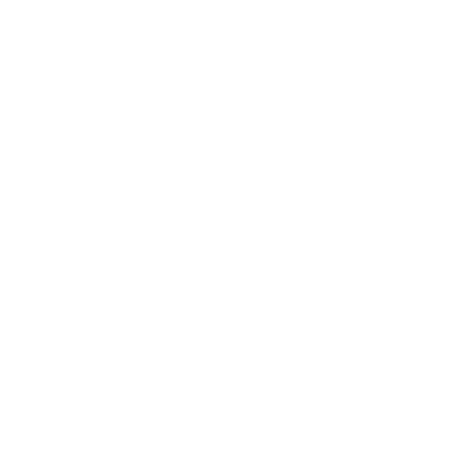 TERRA TUNNEL GROUP