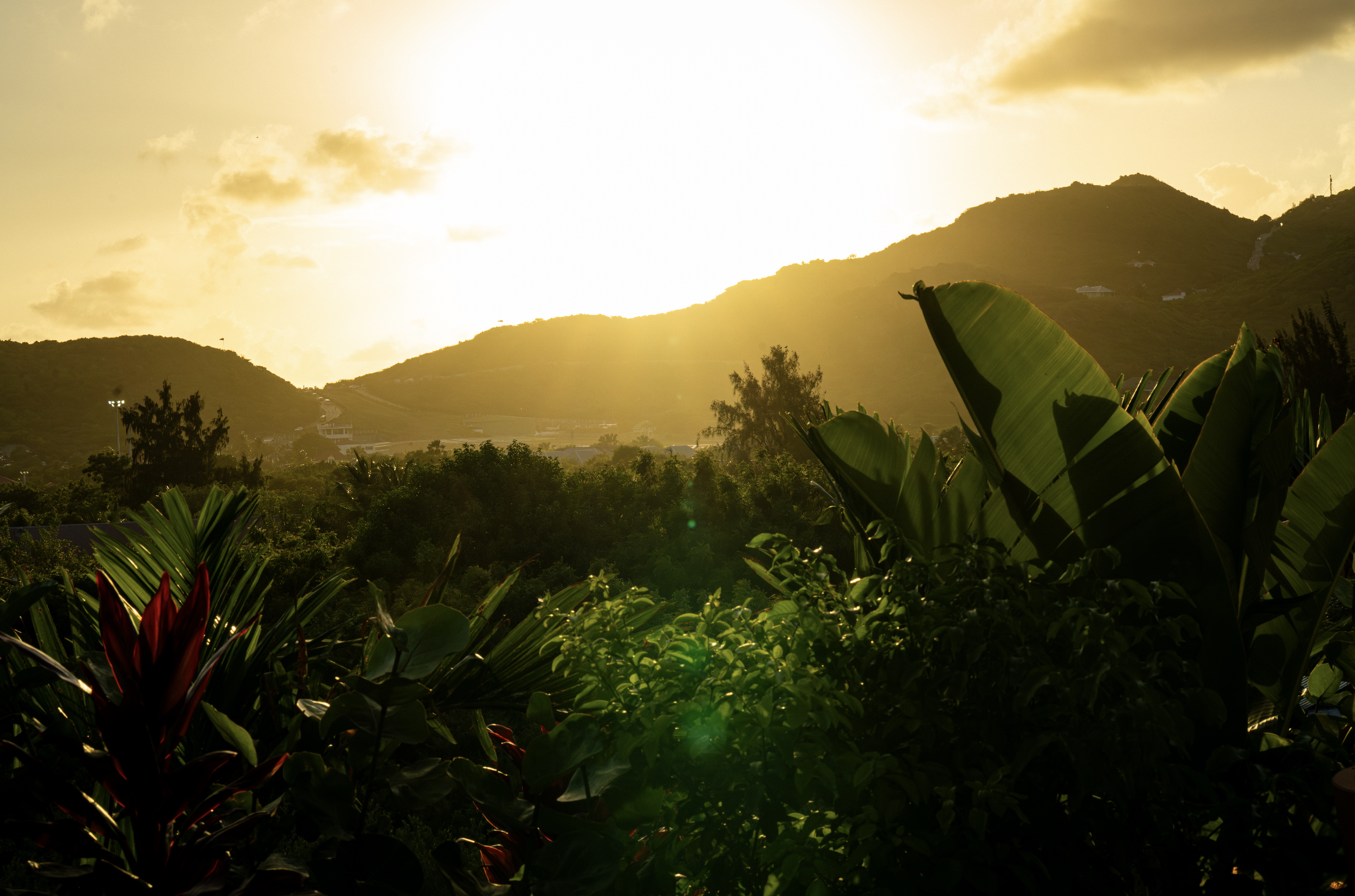 Sunset over green hills with clouds in the sky and lush tropical plants in the foreground.