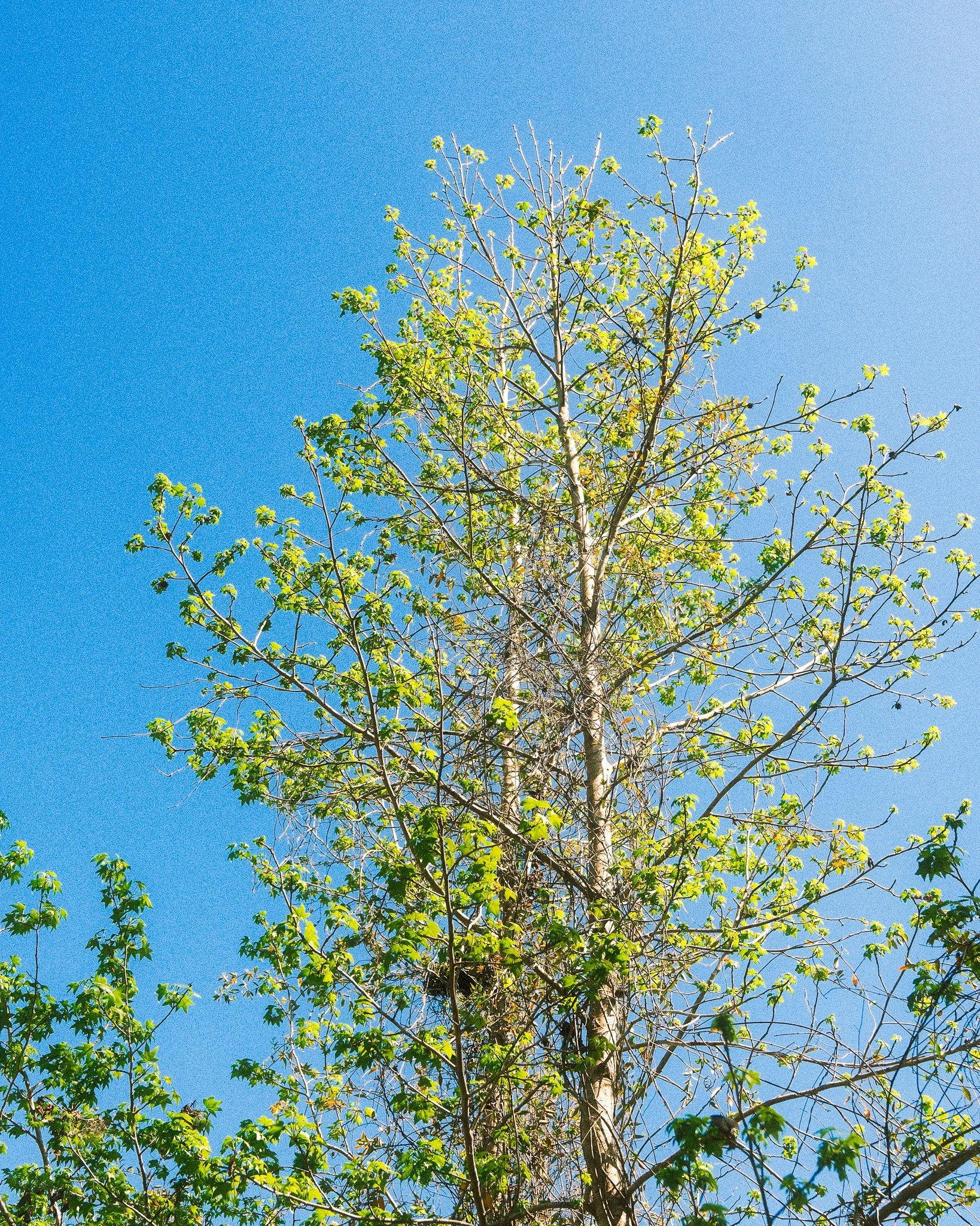 DSCF0127-2.jpg