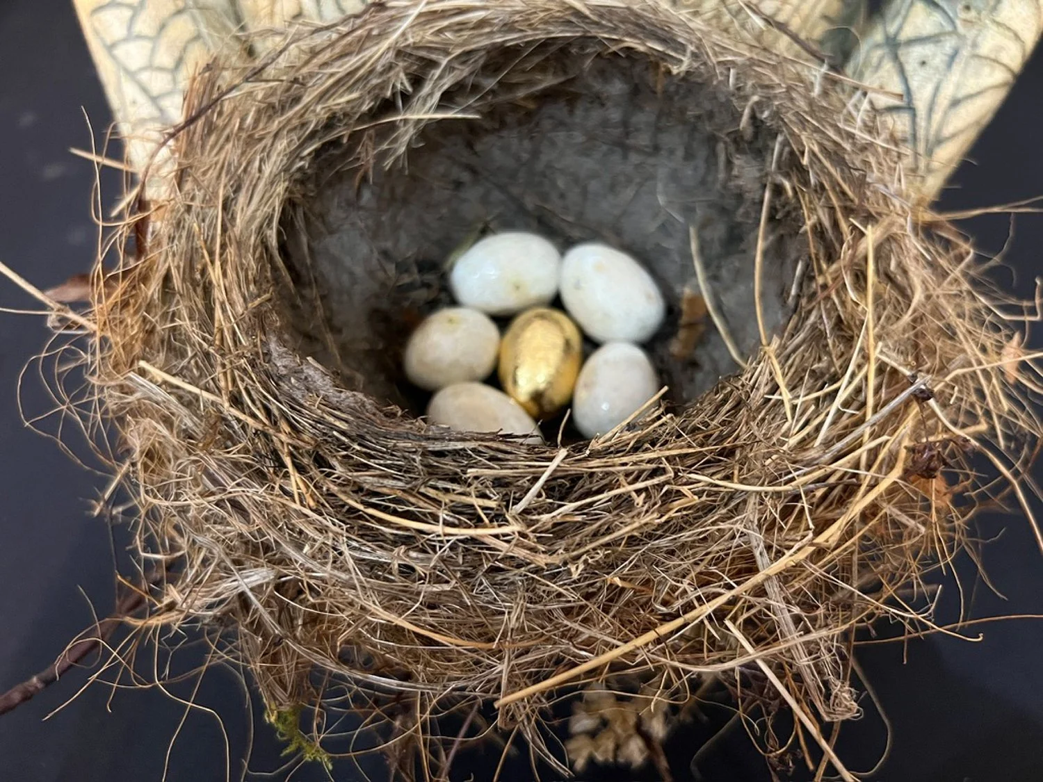 Take My Love nest for website.jpg