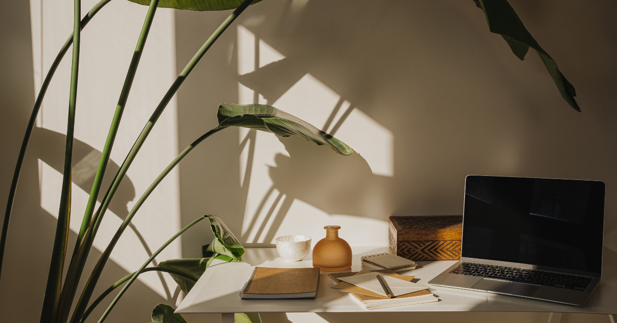 How to Build a No-Show and Cancellation SOP in Notion 