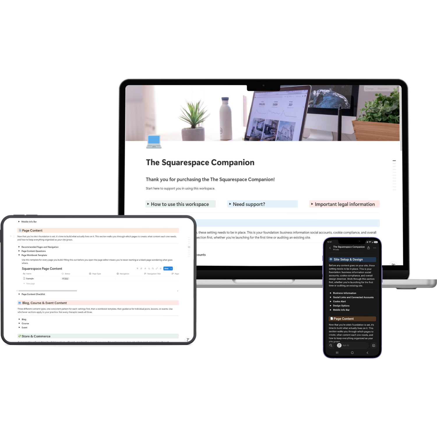 Notion - The Squarespace Companion