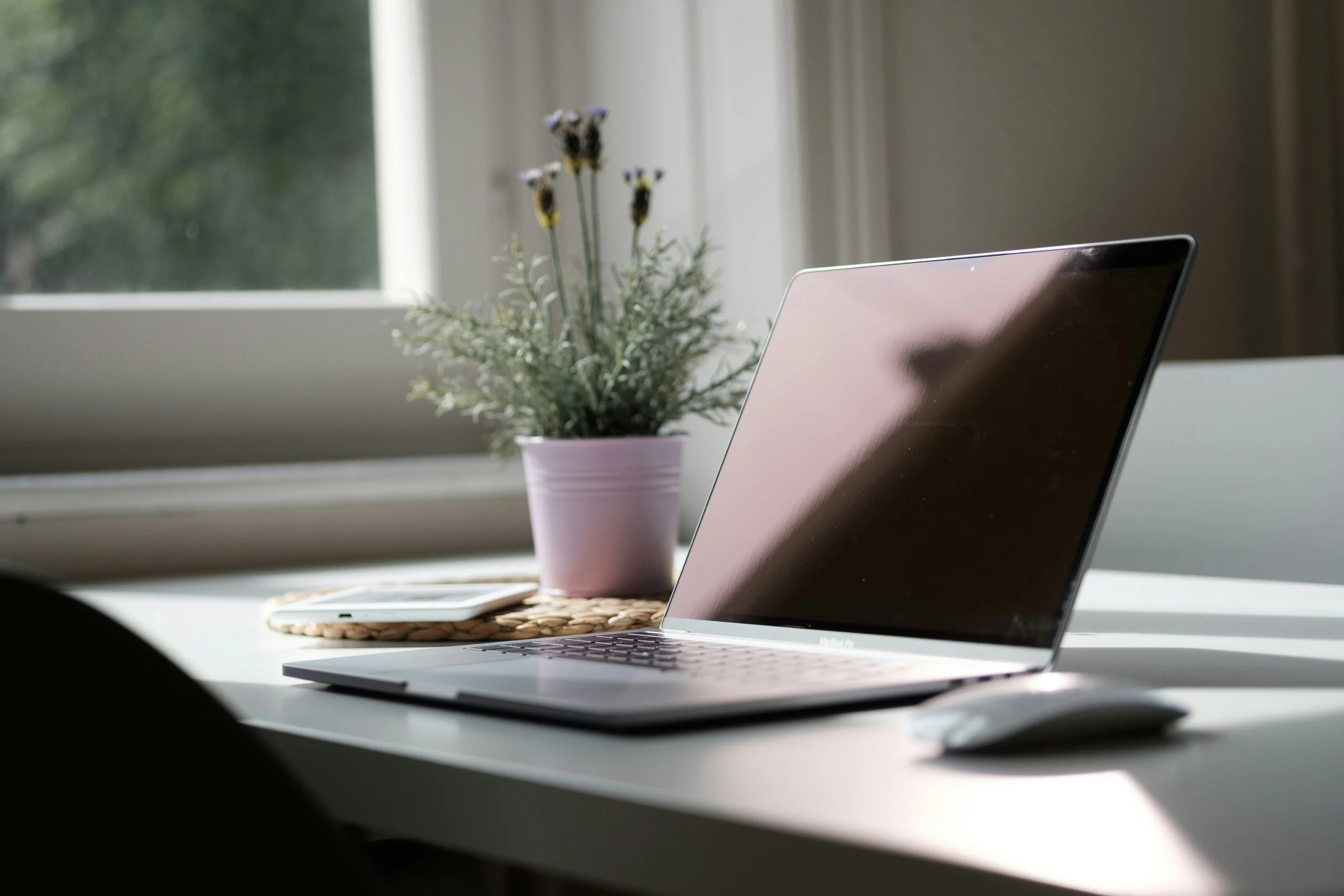 laptop and lavender plant