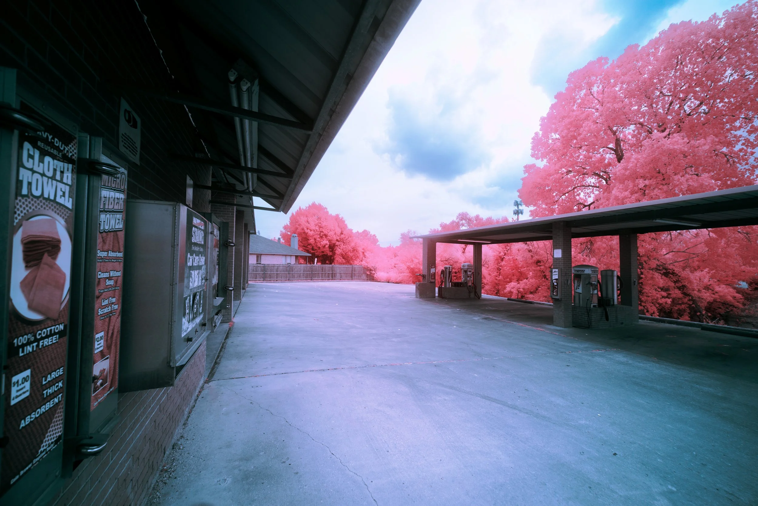 8K6A7515.jpg