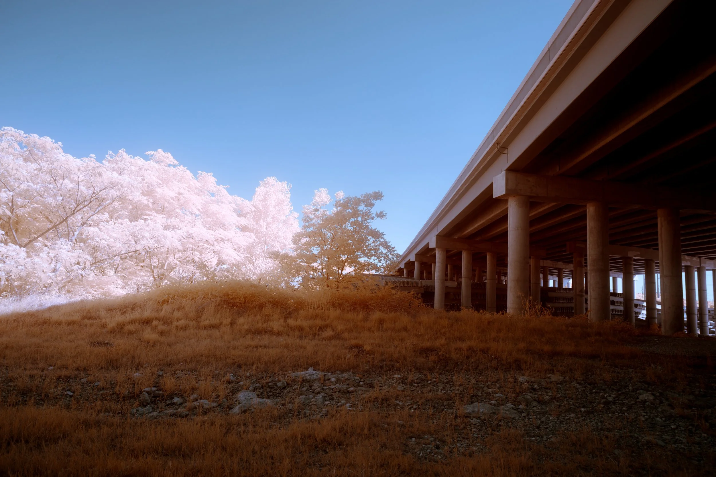 8K6A7408.jpg