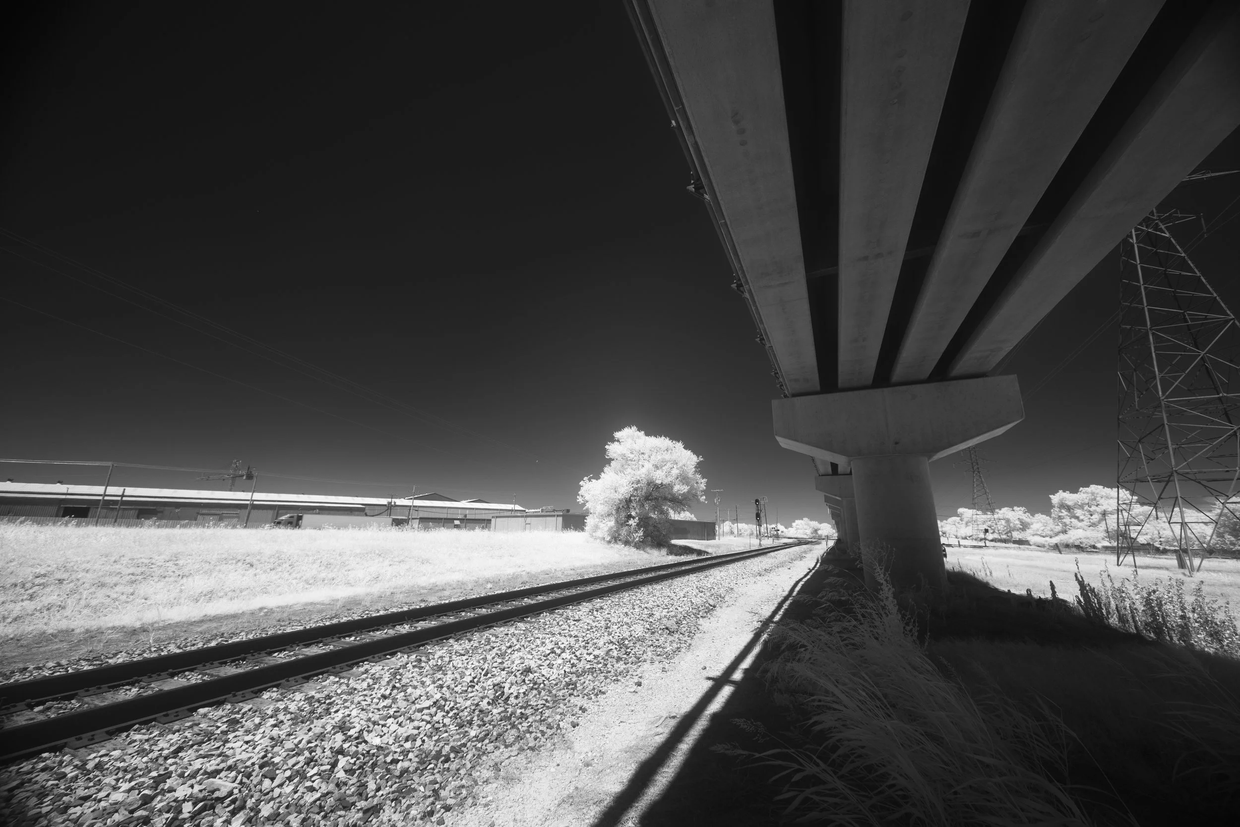 8K6A7687.jpg
