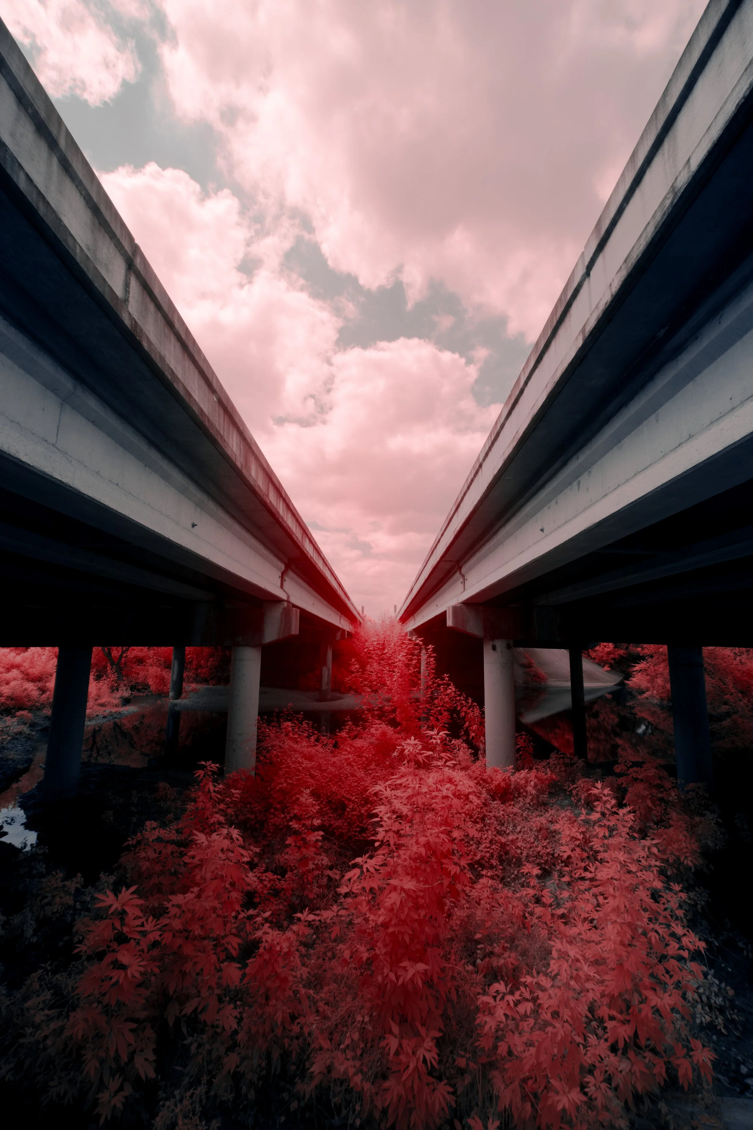 8K6A4630.jpg
