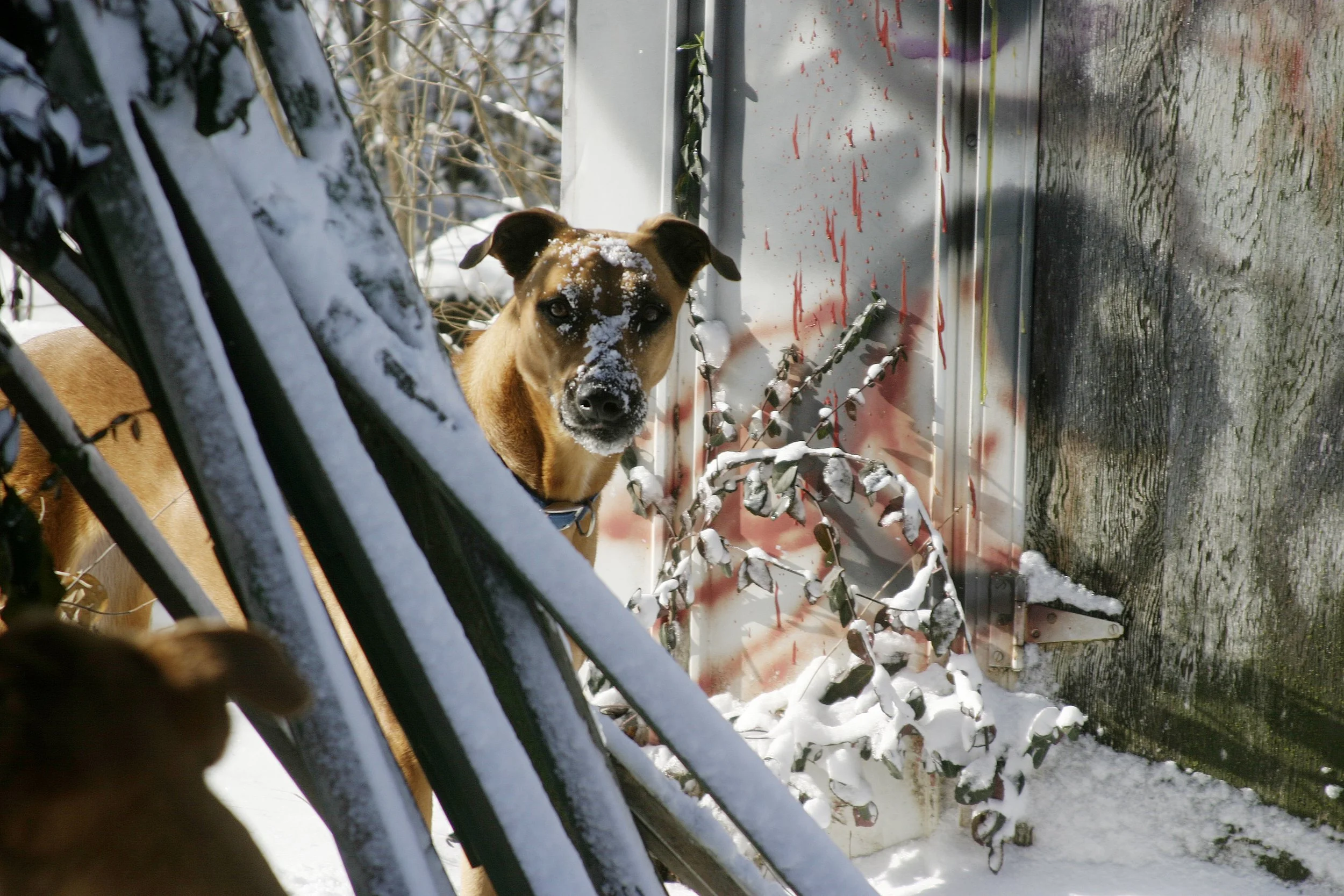 IMG_7661.jpg