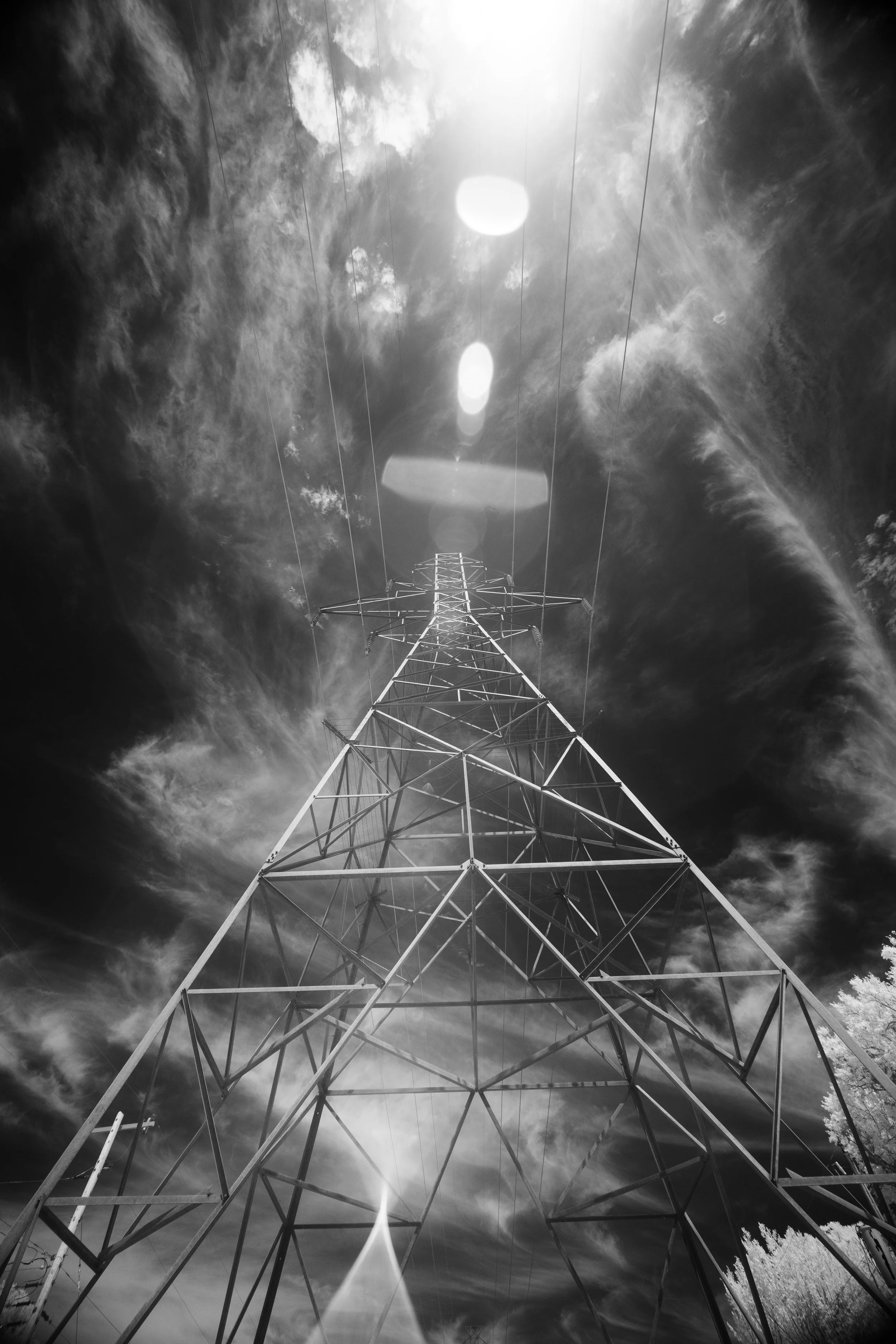 8K6A7639.jpg