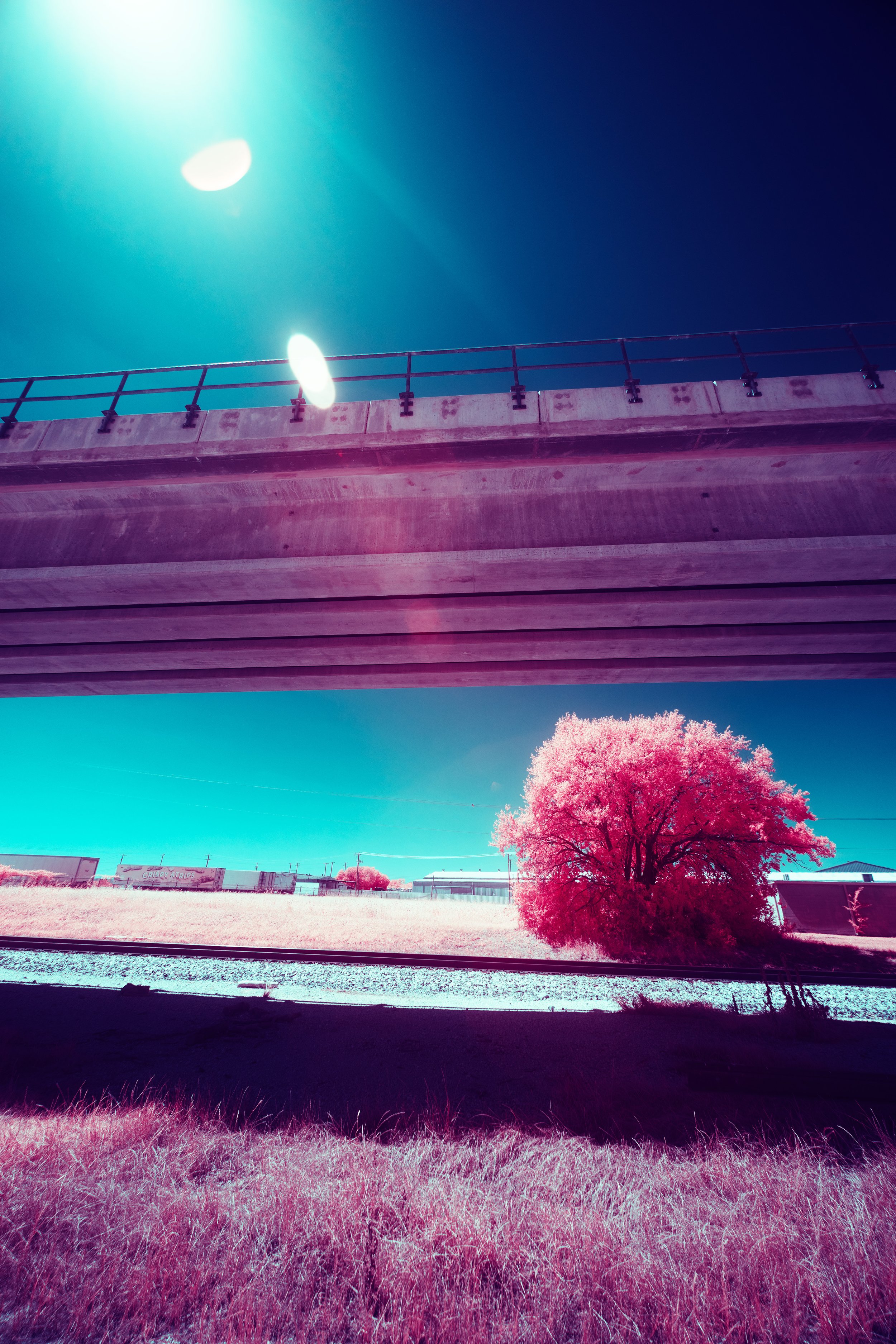 8K6A7696.jpg
