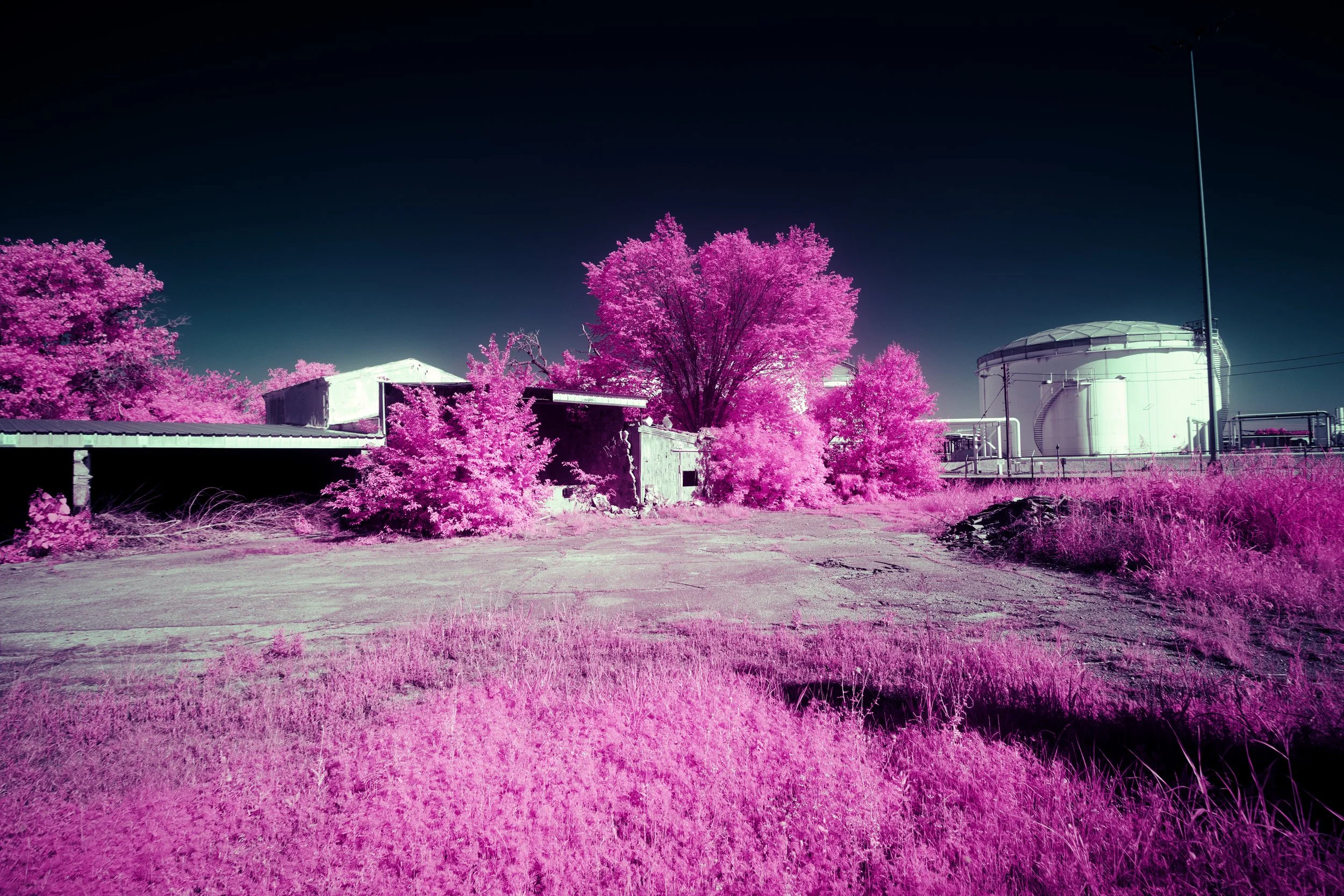 8K6A7437.jpg