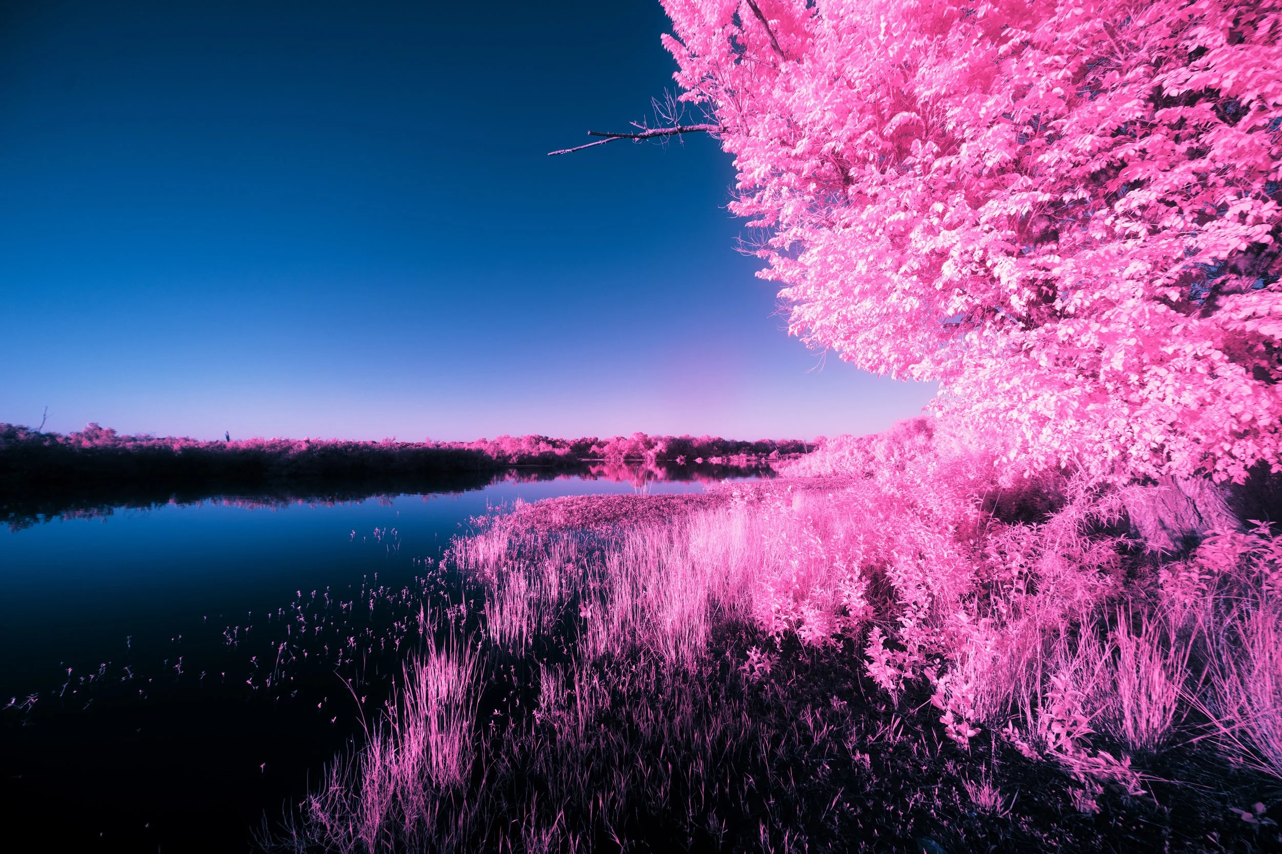 8K6A7465.jpg