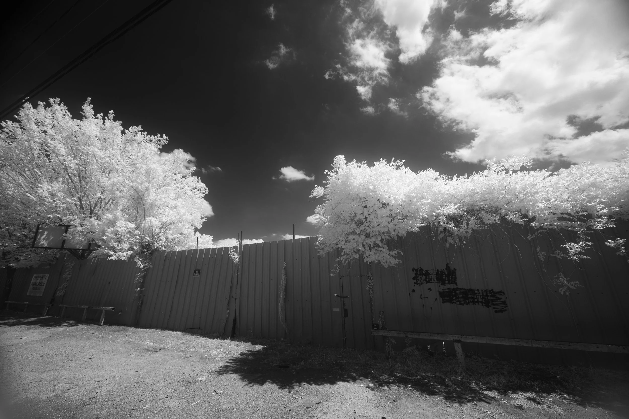 8K6A7579.jpg