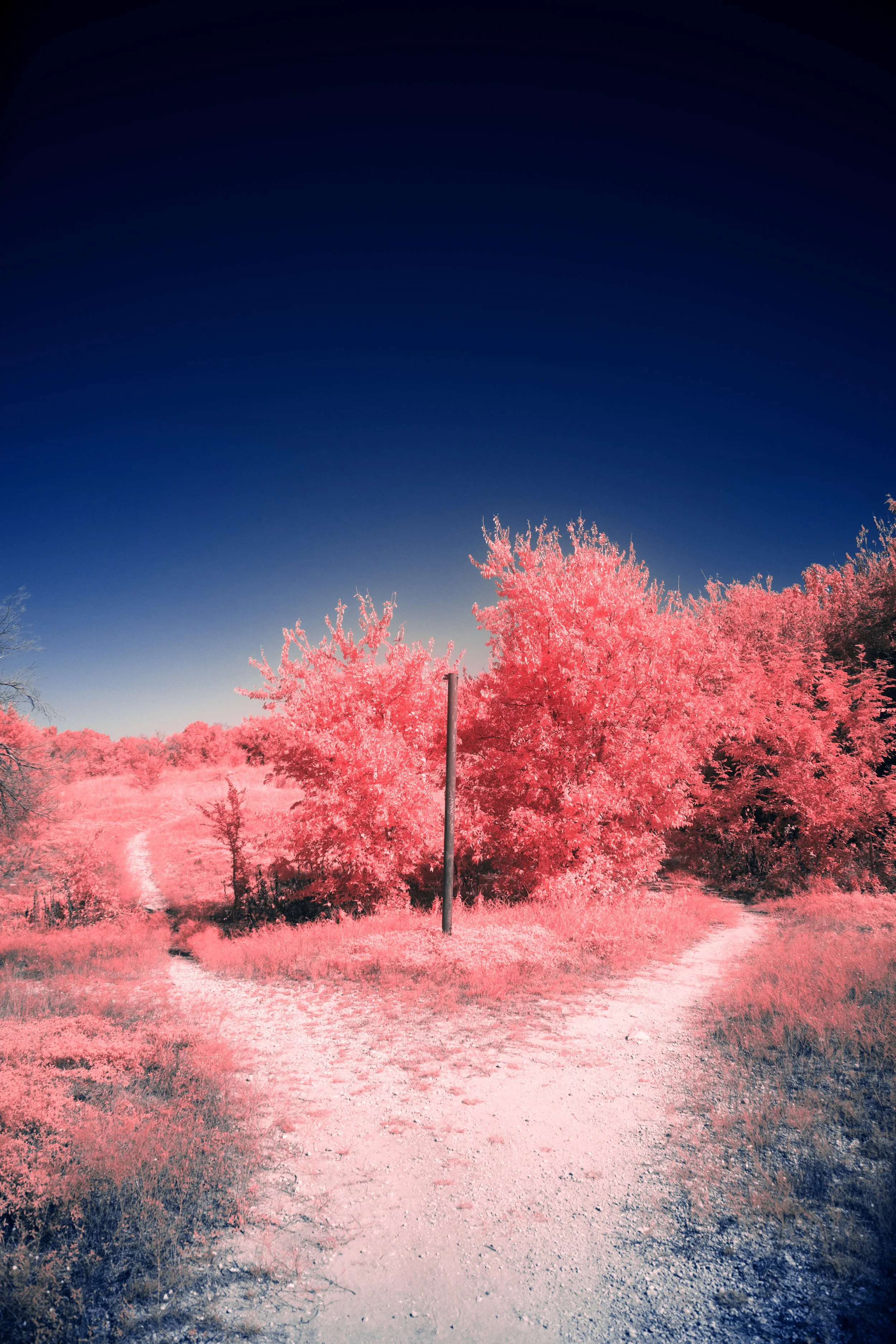 Aerochrome Process 2.jpg