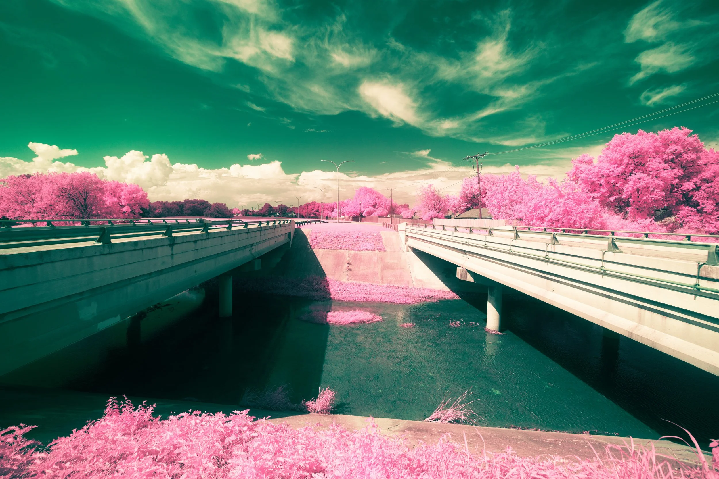 8K6A7603.jpg