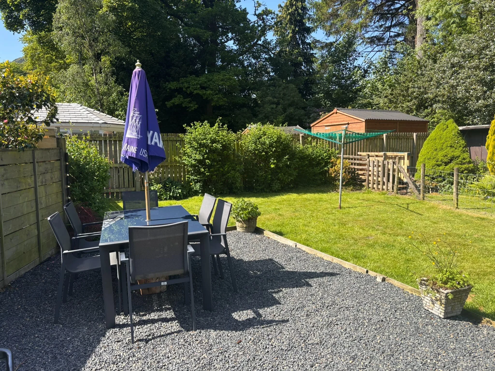 garden 3.jpg