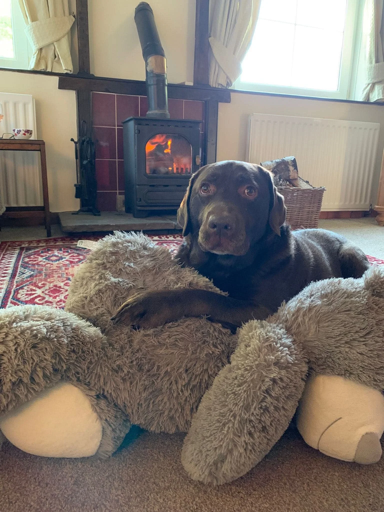 dog by fire.jpg