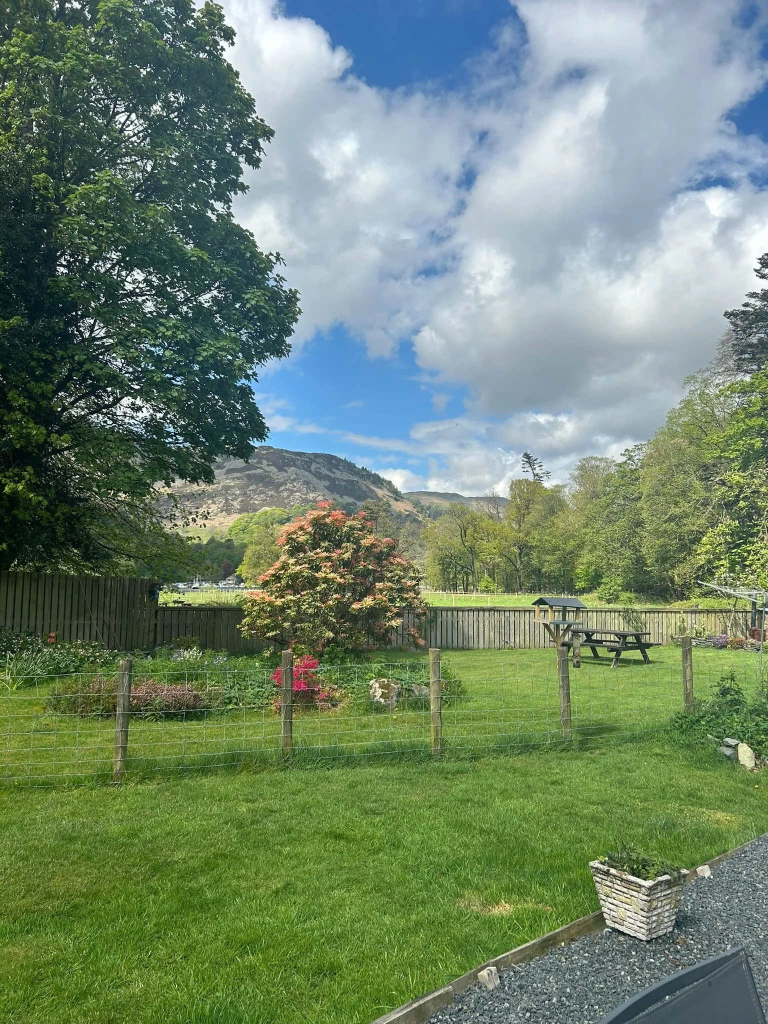 garden view c.jpg