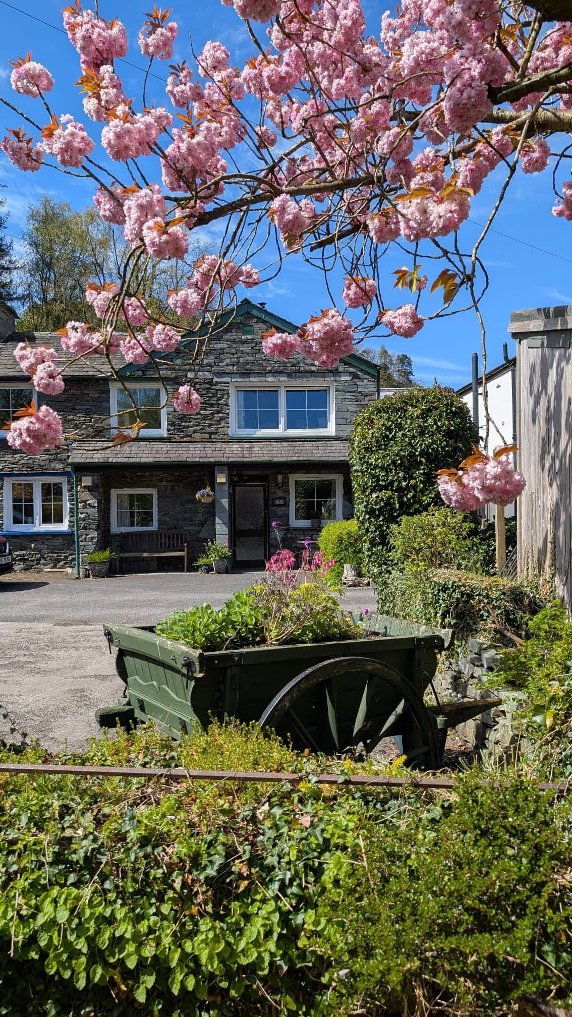front of cottage c.jpg