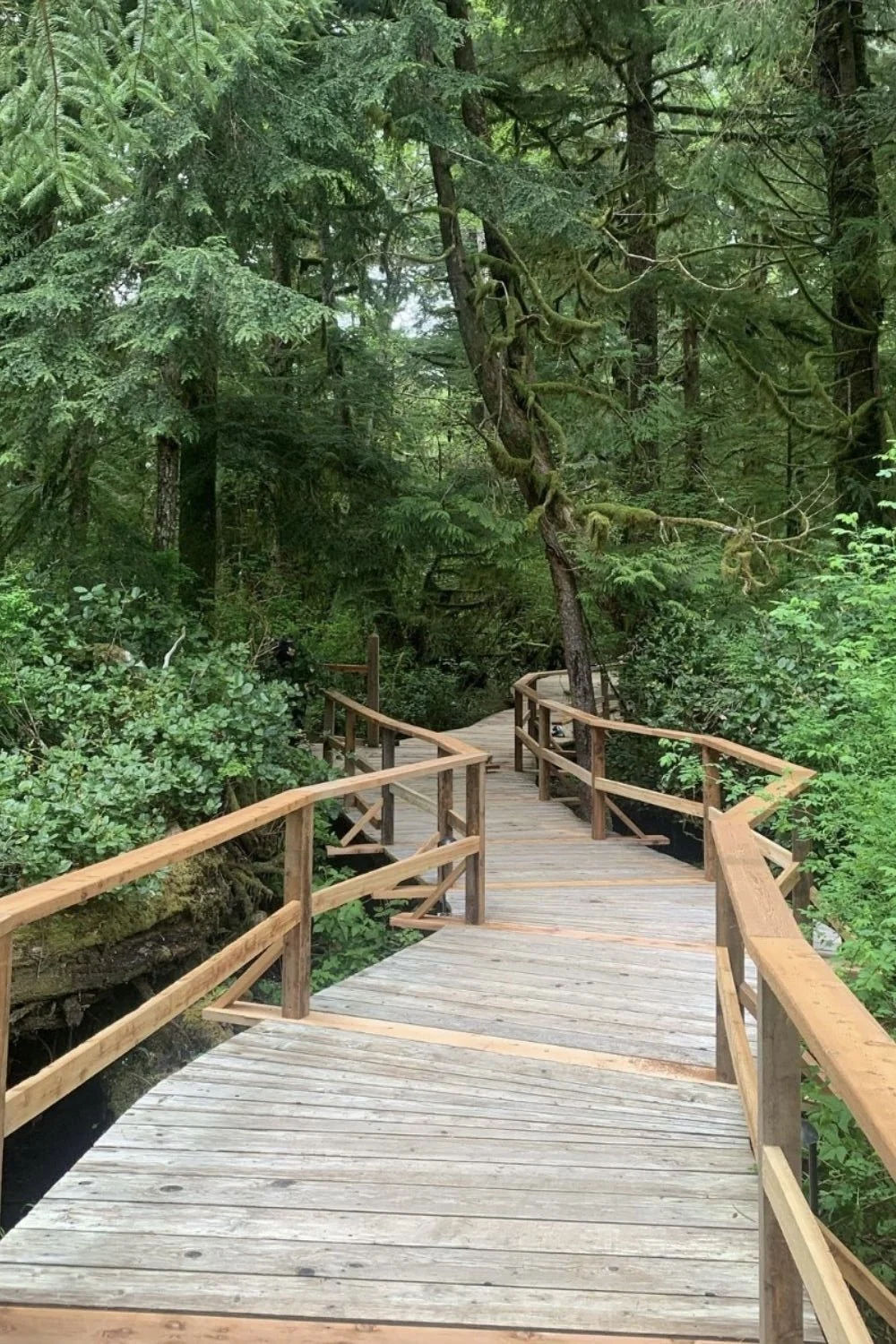  Cedar Board Walk Repair Clayoquot wilderness lodge tent MTN side remote general contractor 