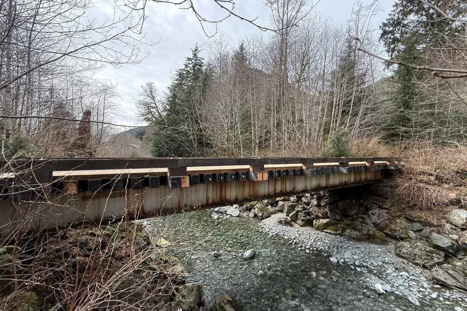 Remote Lodge BC Logging Bridge Demo and rebuilt remote lodge general contractor MTN Side Creative Group