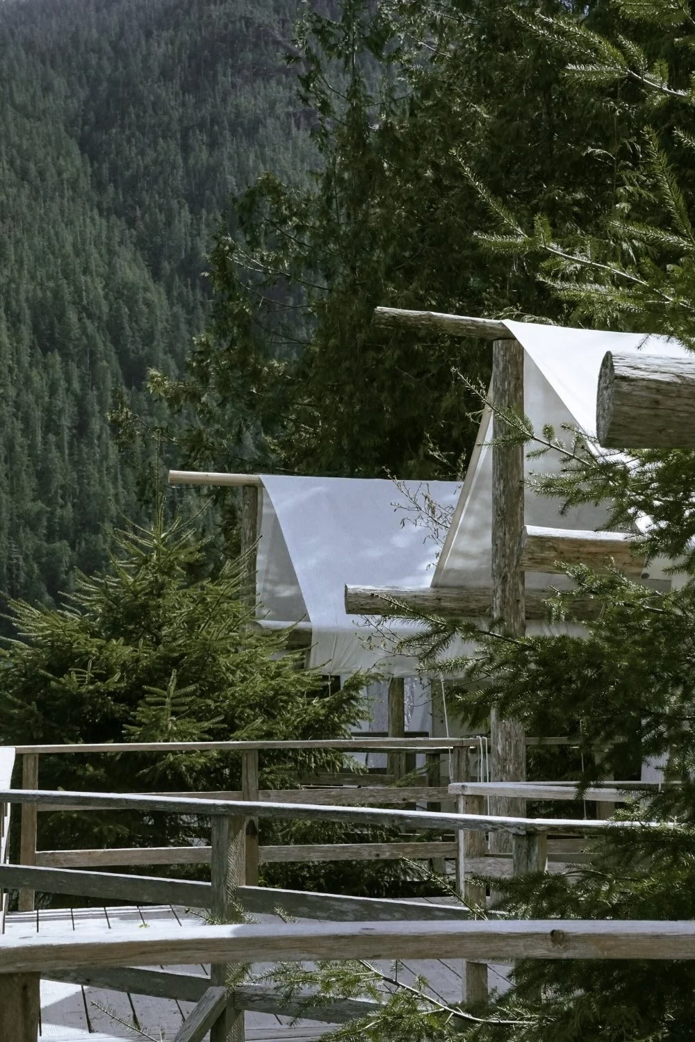 Clayoquot Wilderness Lodge MTN side General Contractor 