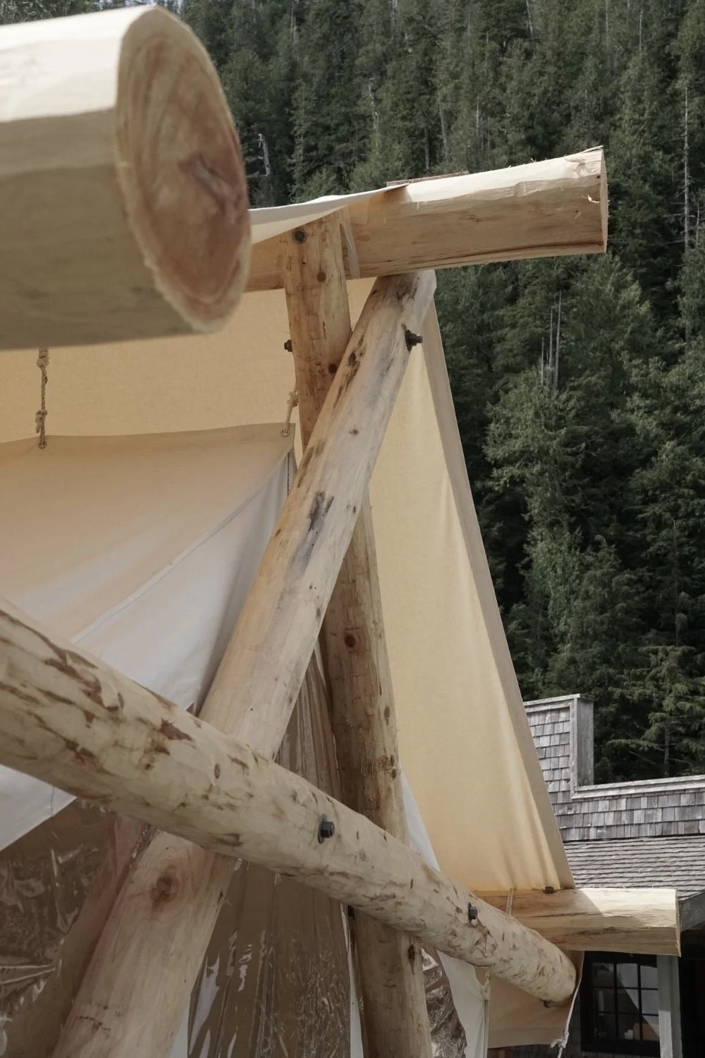 clayoquot lodge bc front desk commercial remote project construction MTN Side general contractor glamping tent and wooden posts