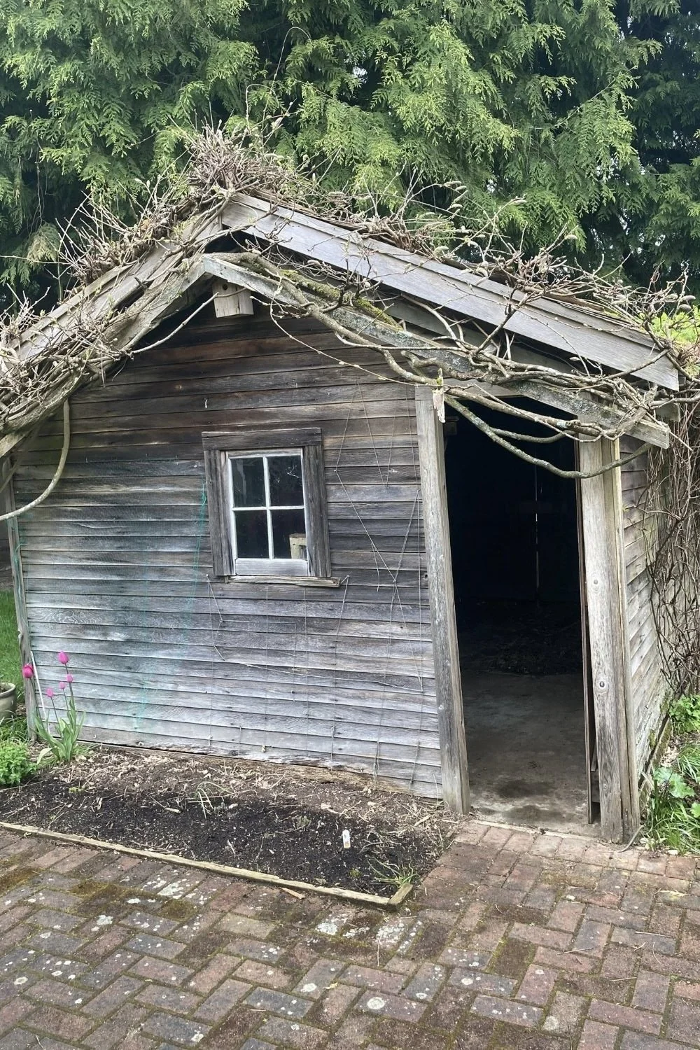 MTN Side residential renovation general contractor BC homes woodwork and carpentry backyard shed reno