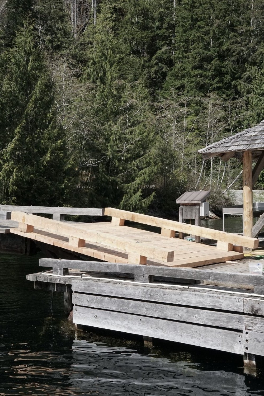 Remote Lodge Logging Bridge Demolition BC remote lodge general contractor MTN Side Creative Group