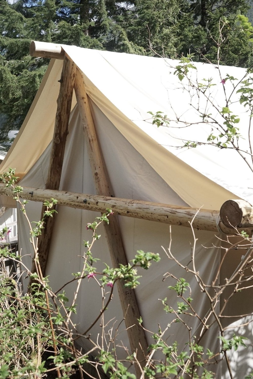 clayoquot wilderness lodge tent MTN side remote general contractor 