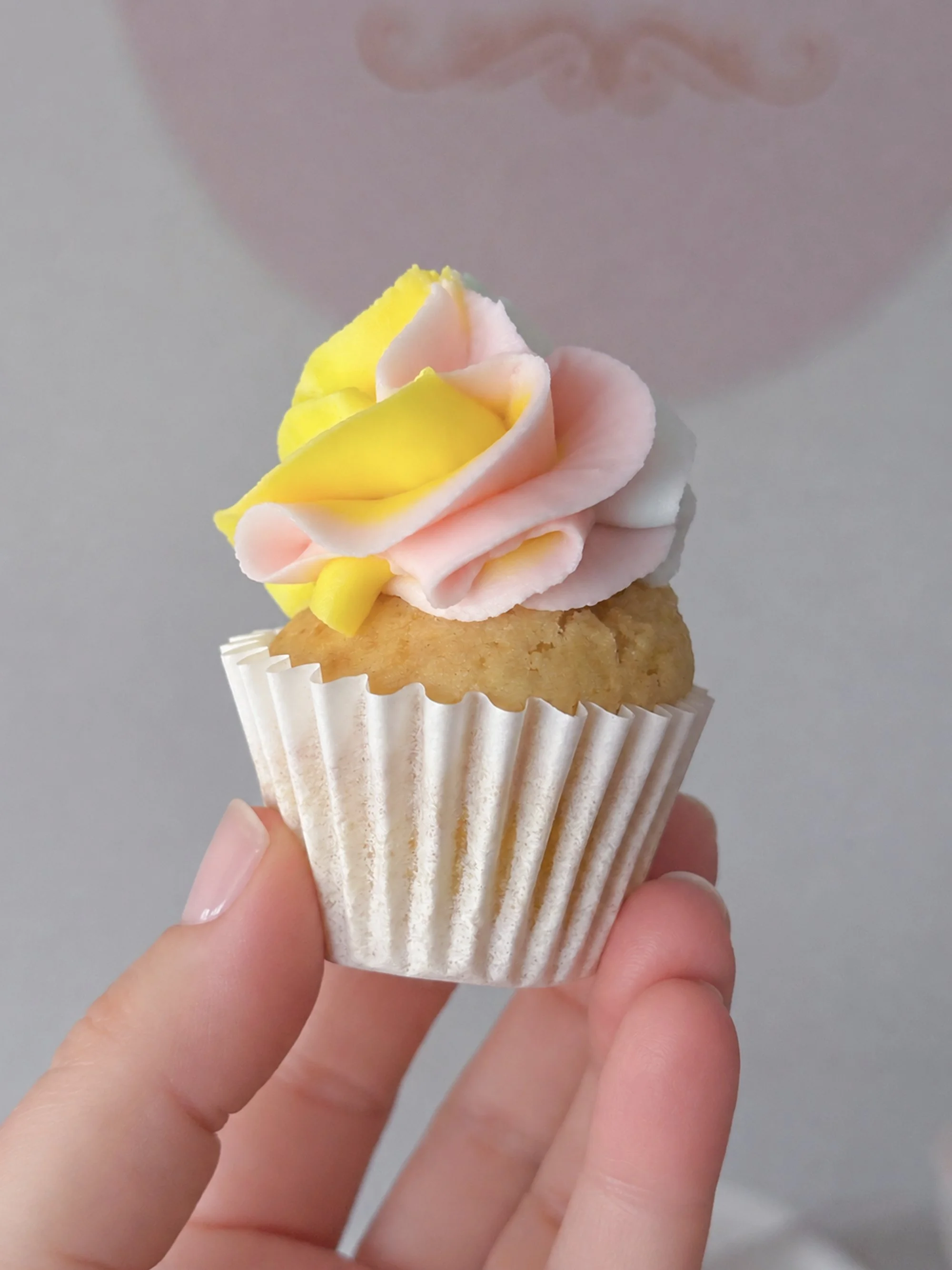 Caja Mini cupcakes Rainbow 8.jpg