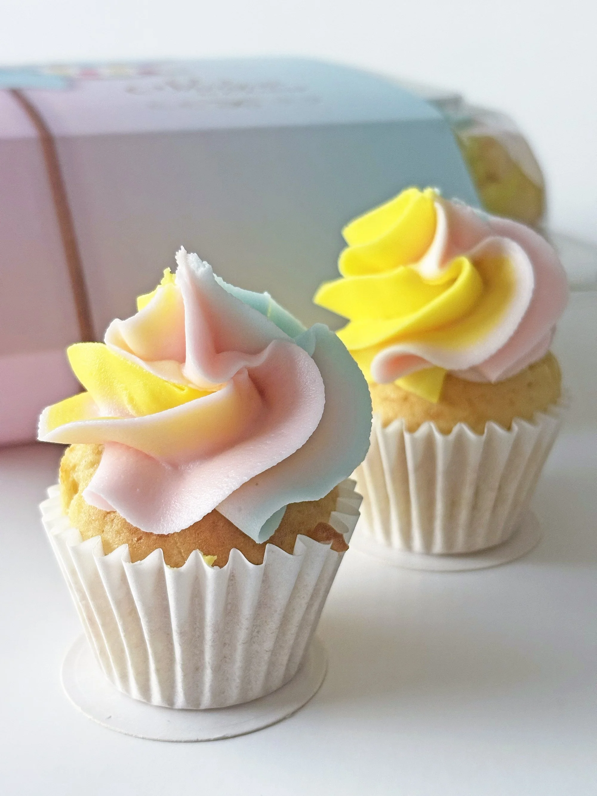 Caja Mini cupcakes Rainbow 5.jpg