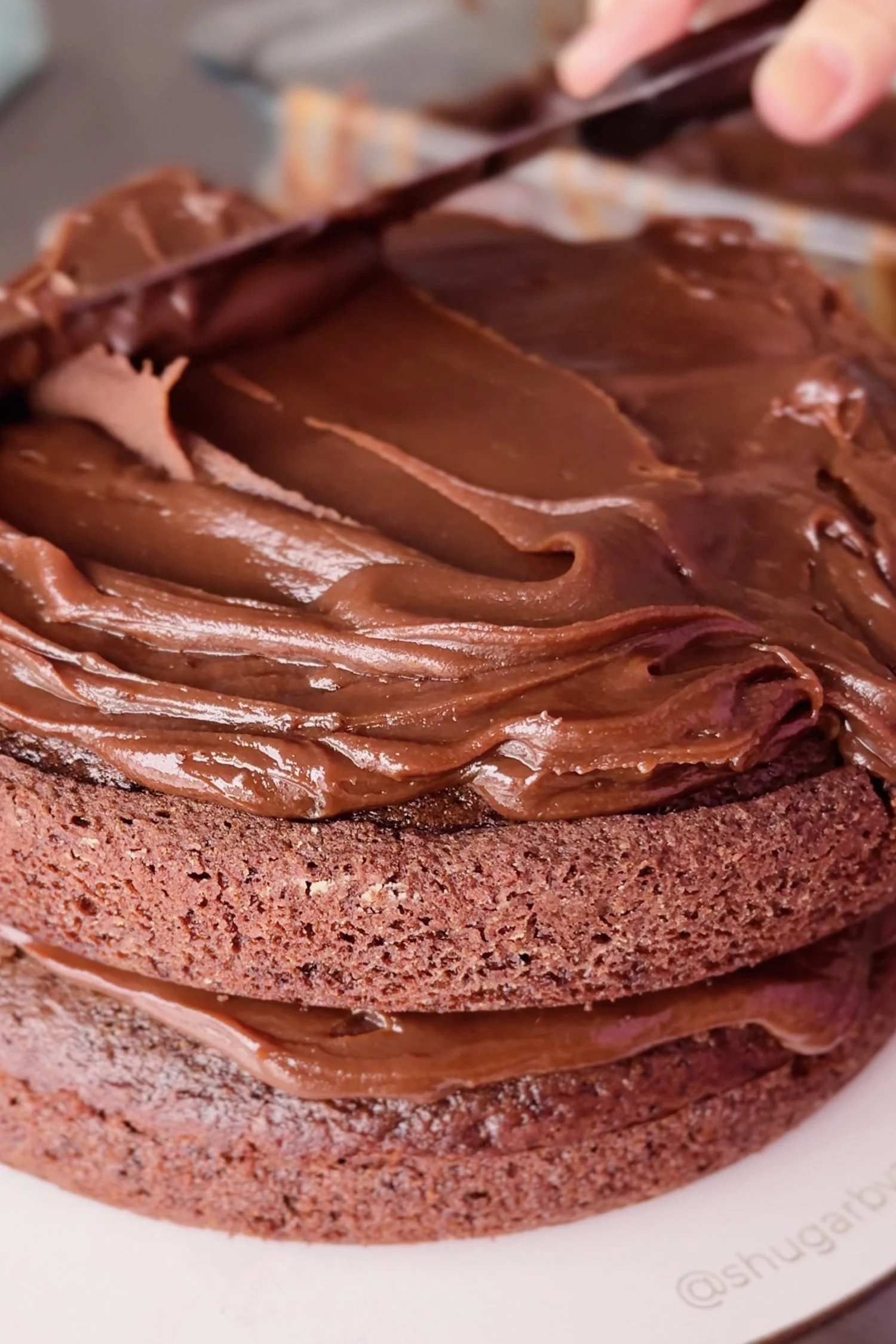 Cake Matilda 6.jpg